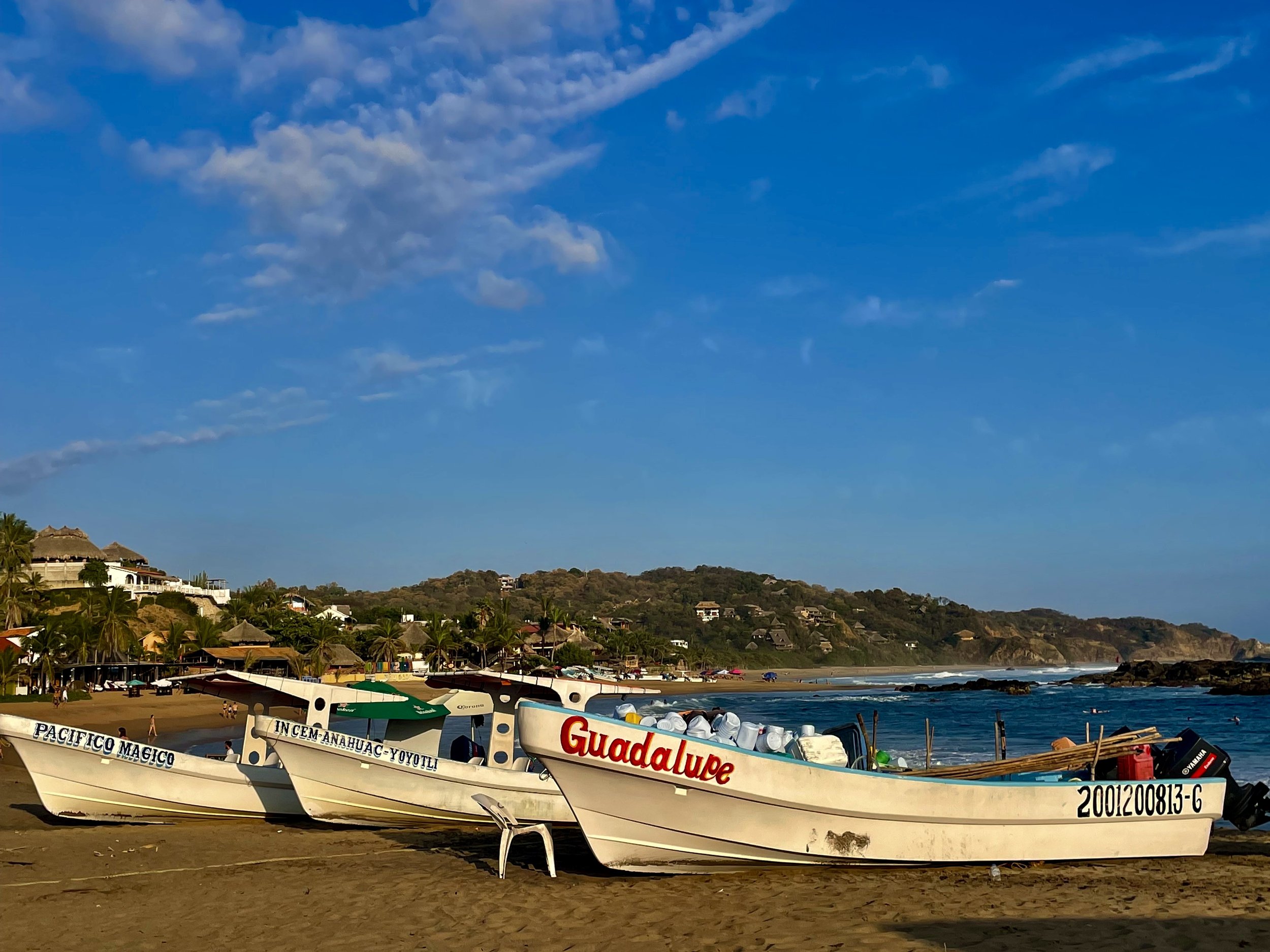 Pacifico Magico new.jpg
