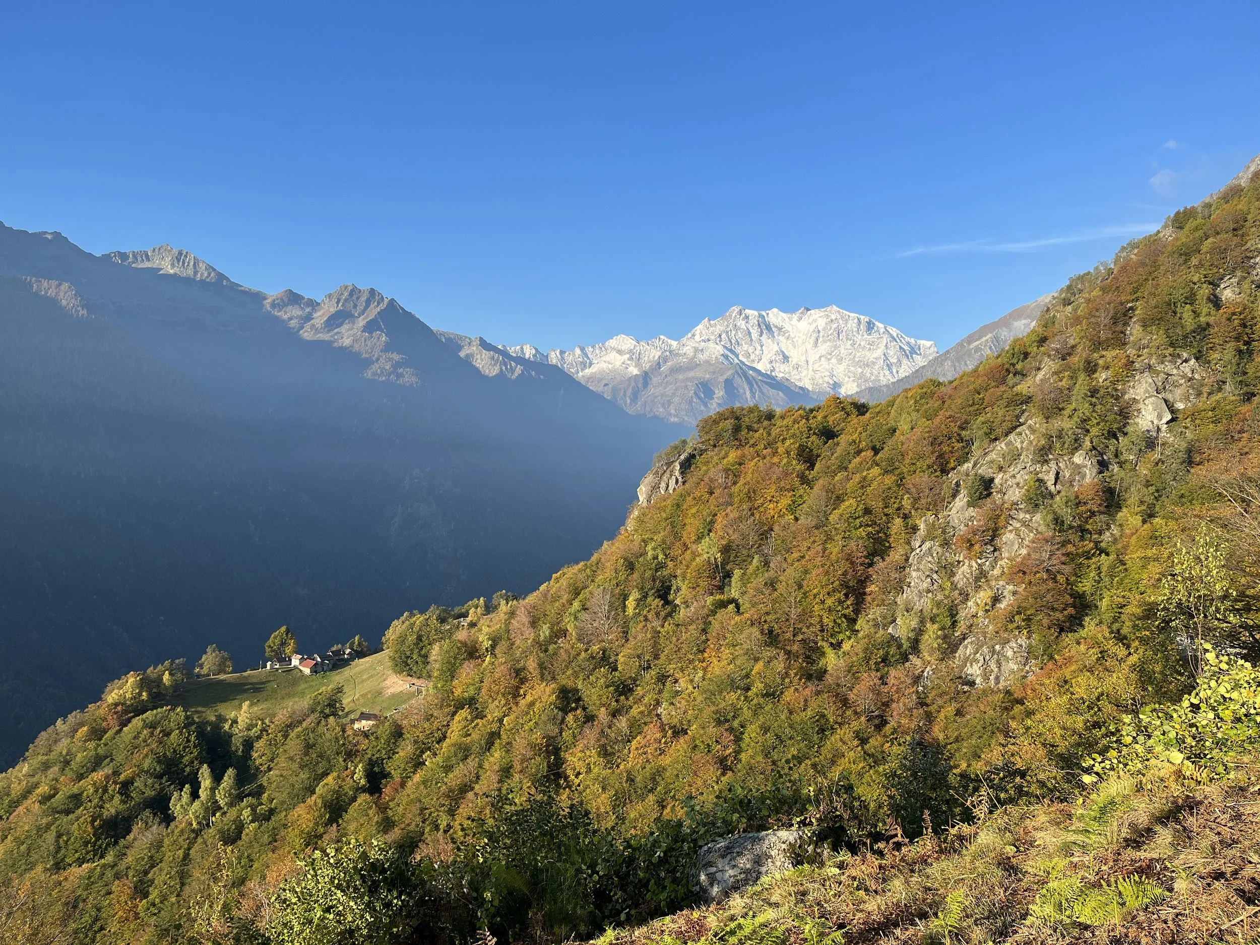 Monterosa Morning.jpg