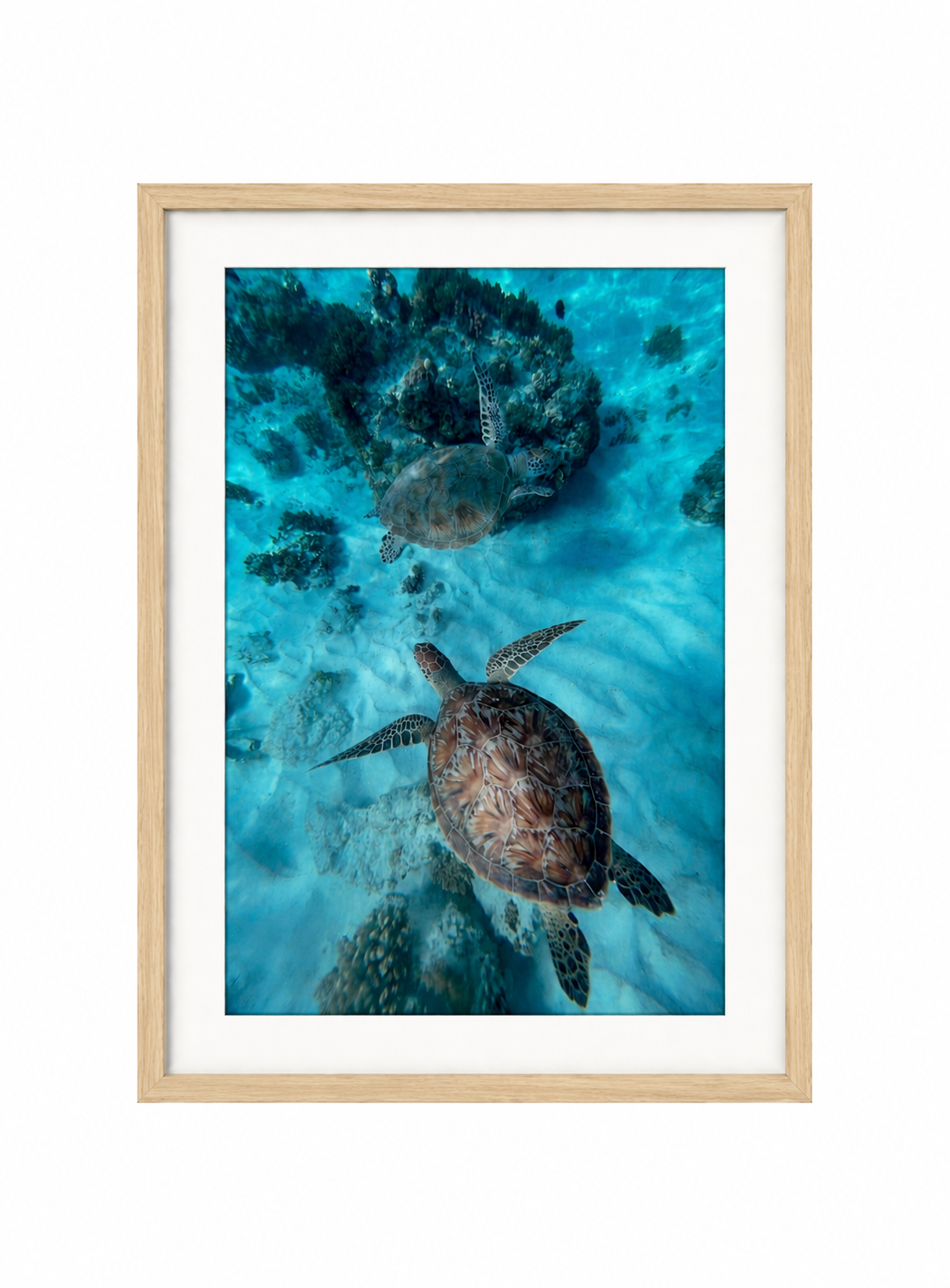 Muses of Gili Island Light wood frame .png
