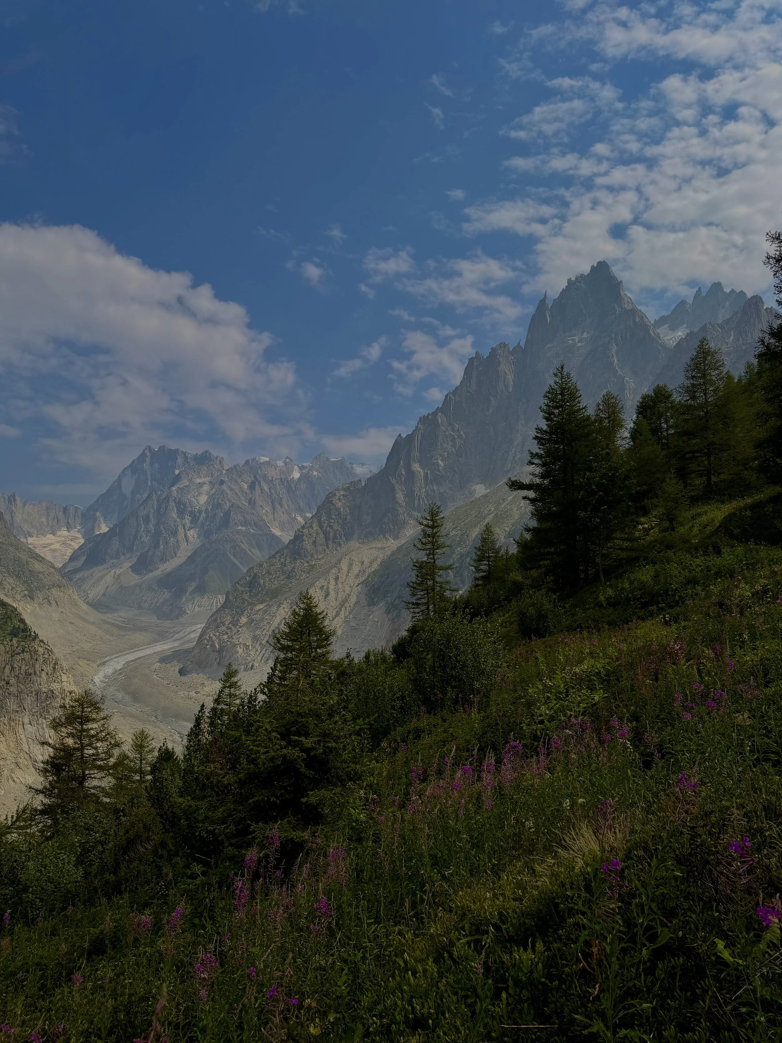 Fairy Meadow.jpg