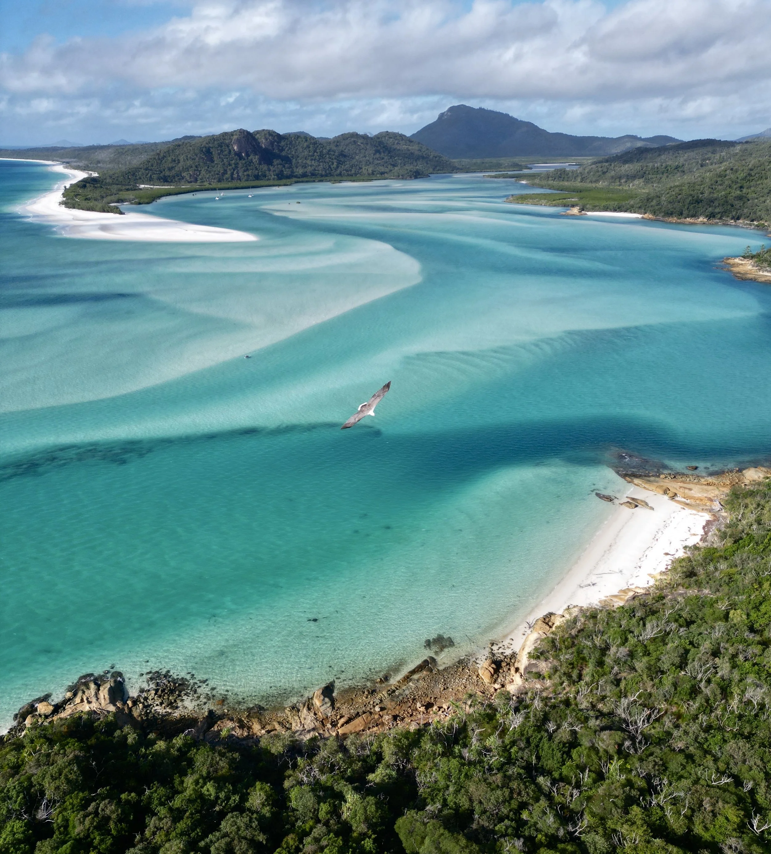 Whitsundays recadrée.jpg