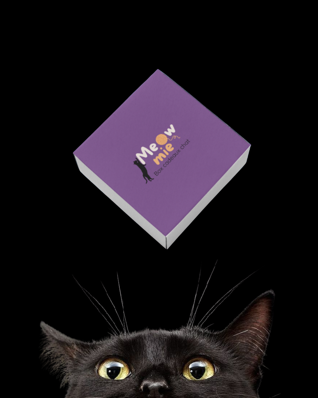 Une boîte violette avec un logo de chat et une bobine de laine, utilisée comme un cadeau pour les chats, vue au-dessus d'un chat noir avec des yeux dorés.