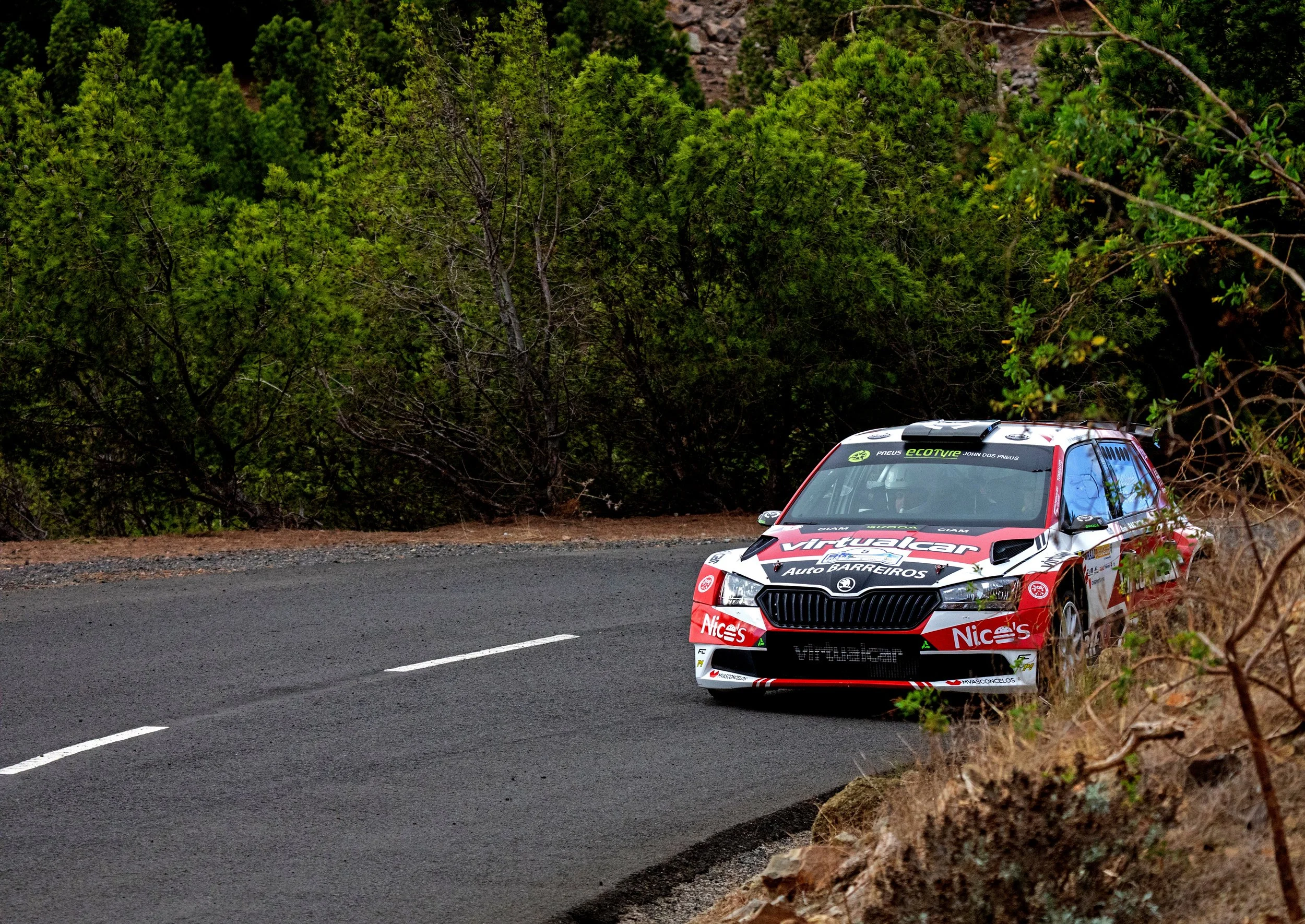 A rally car driving on a winding mountain road surrounded by trees and bushes.