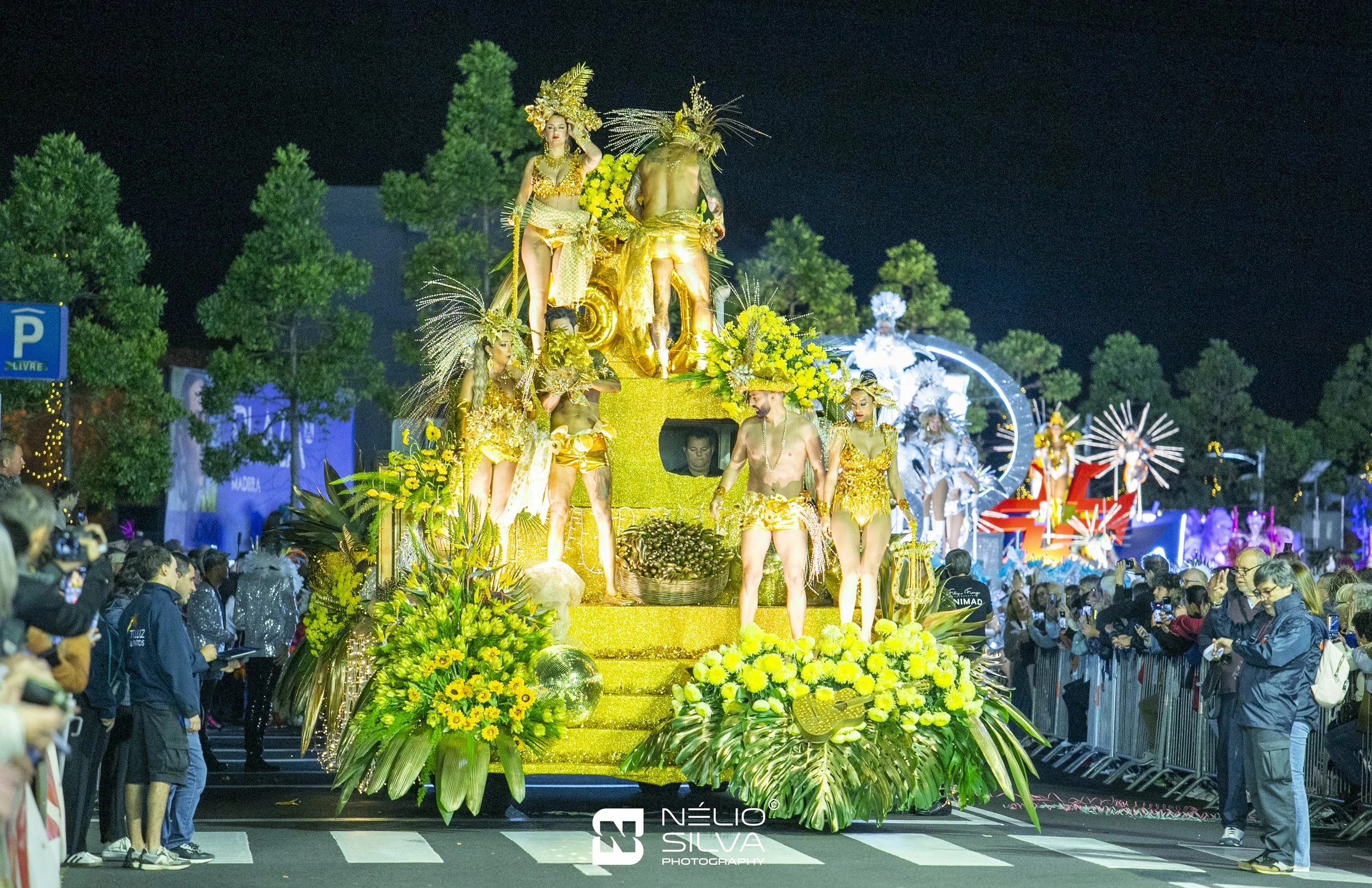 Cortejo de Carnaval, que aconteceu no passado sábado dia 14 de Fevereiro, no sambódromo do Funchal