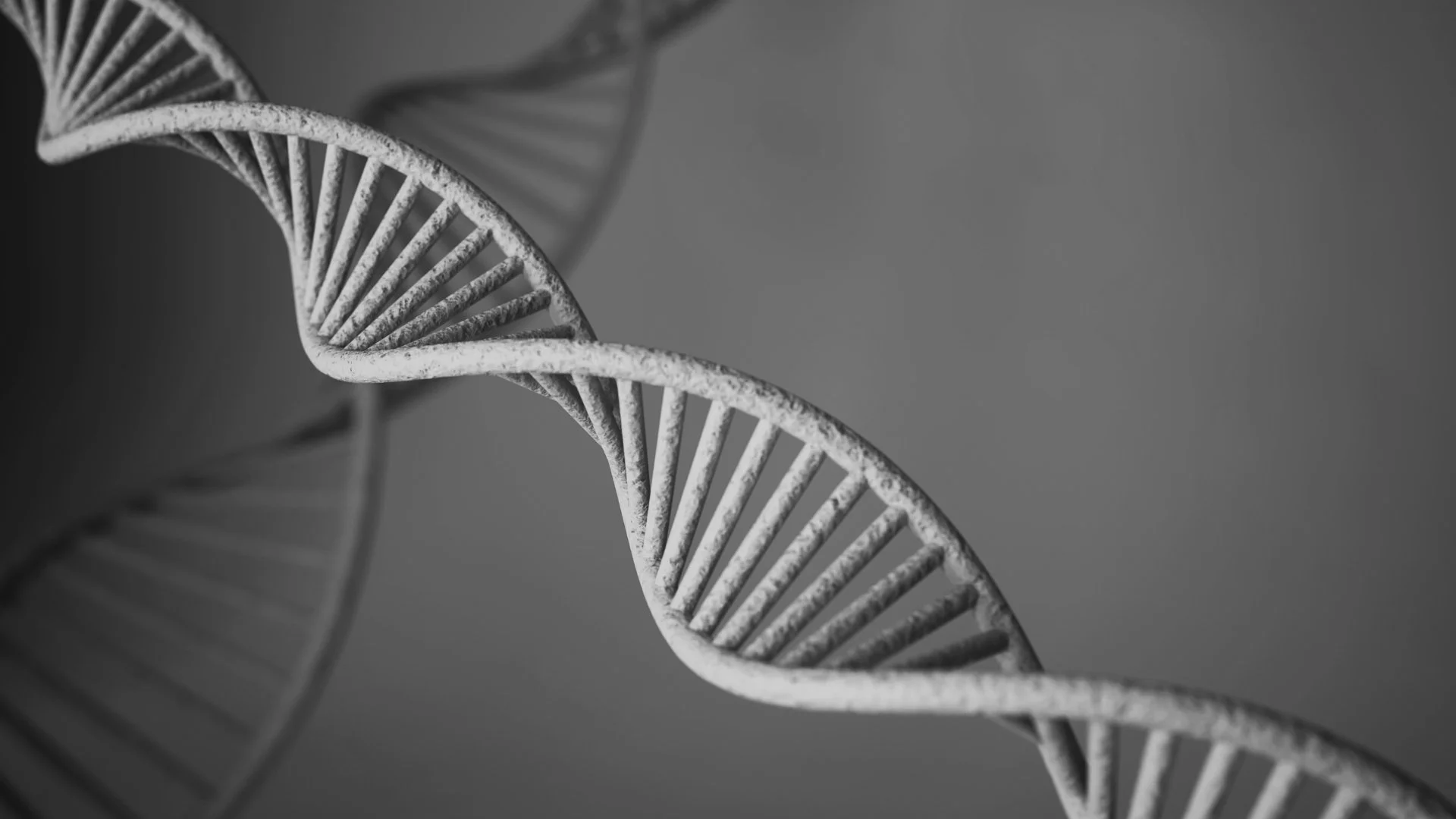 Nahaufnahme eines DNA-Doppelhelix-Modells in Schwarz-Weiß, schwebend gegen einen grauen Hintergrund.