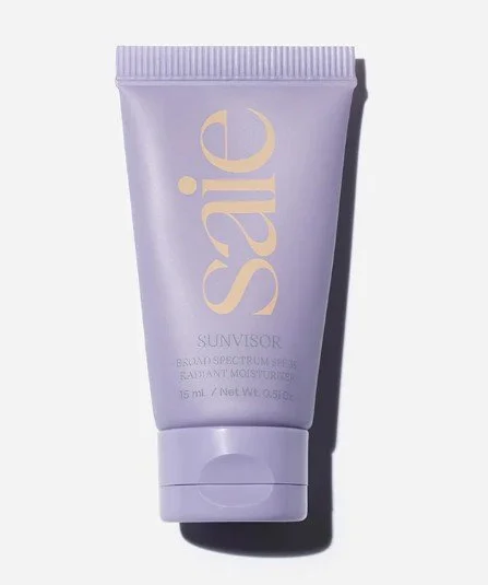 SP Sunvisor 3.jpg