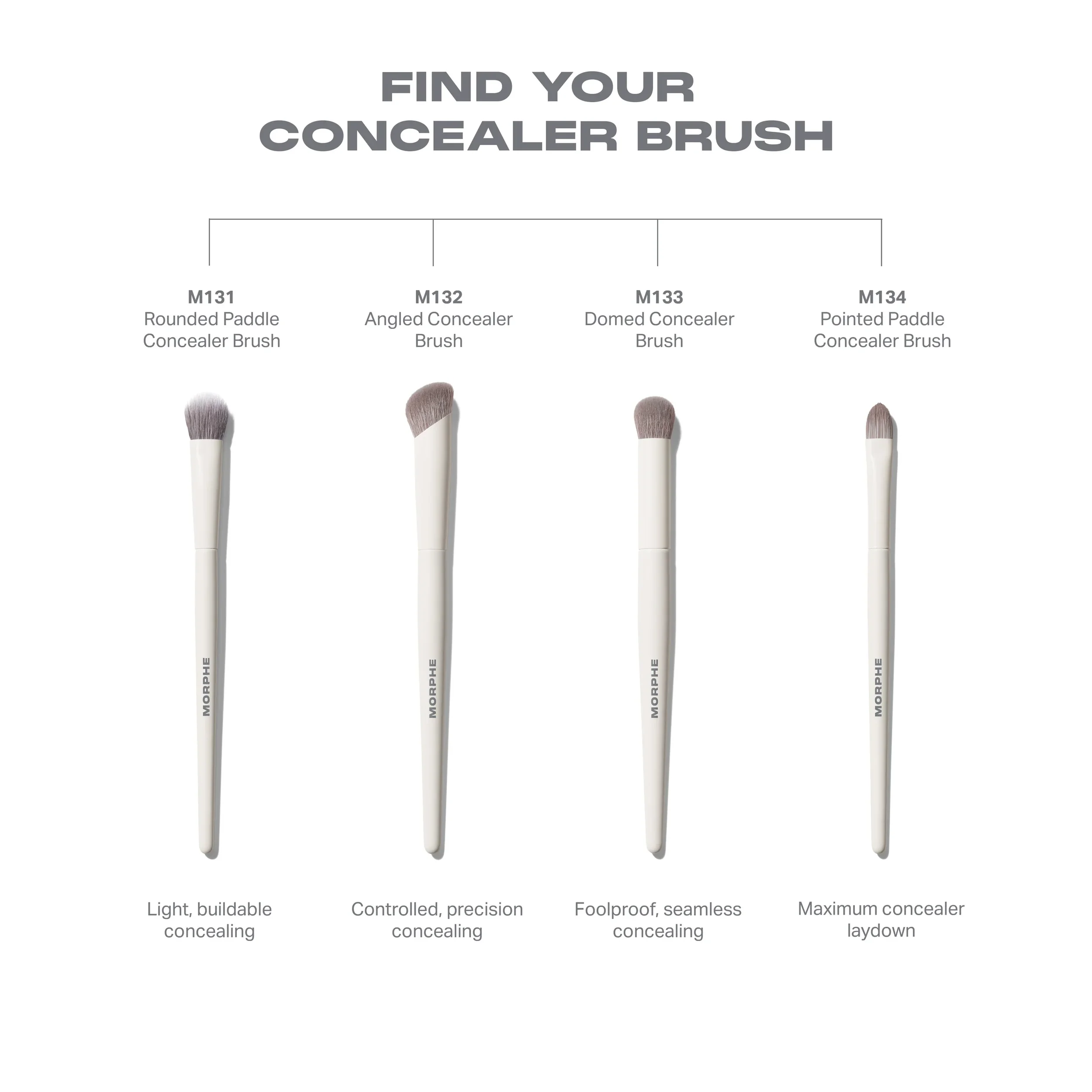 M_Brush-Infographic-Family-Concealer_6f4a4d5f-be33-458f-9e7d-a8b1bc6966c5.jpg.webp