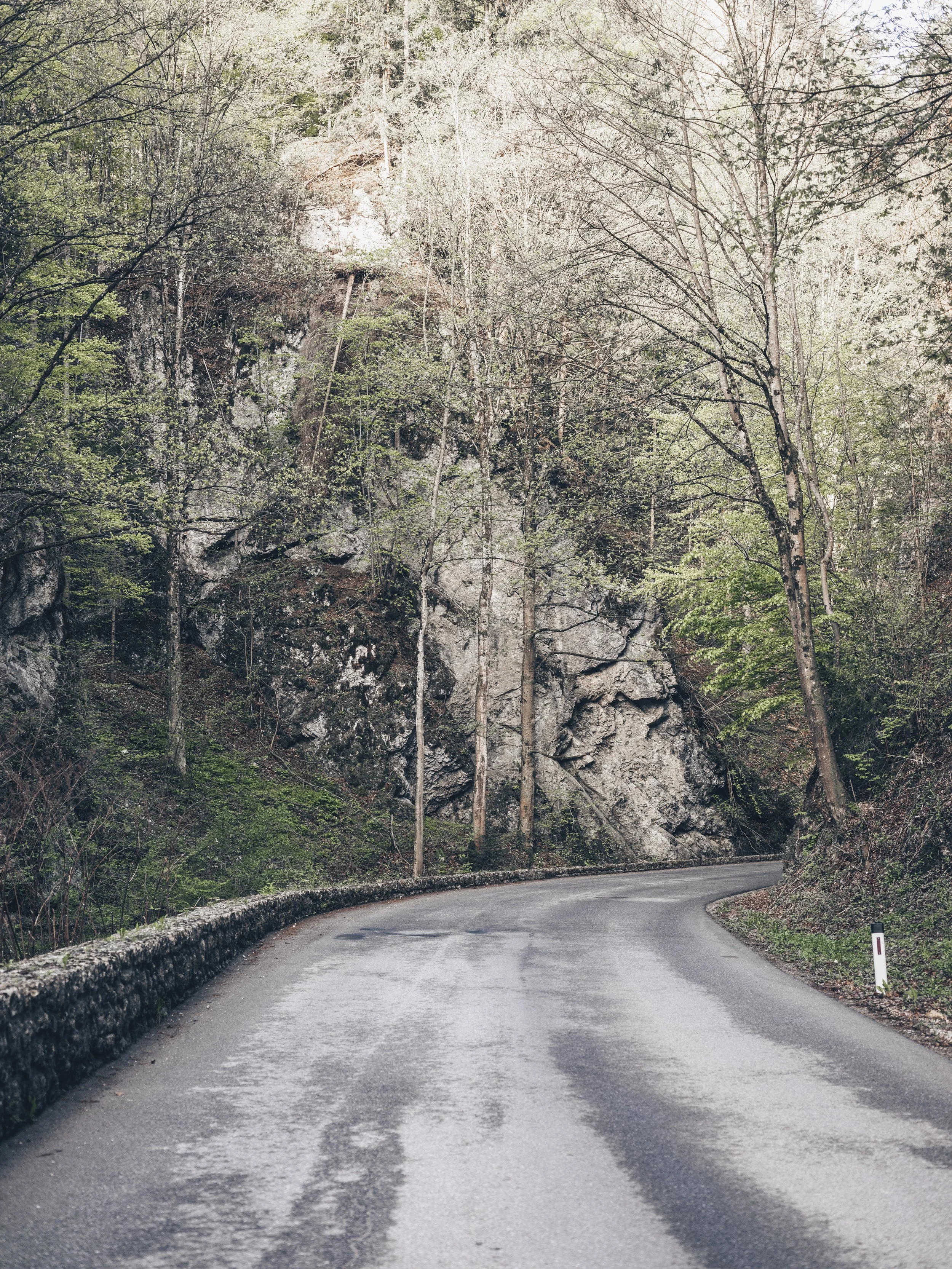 DSCF1361_previews(c) Ian Ehm.jpg