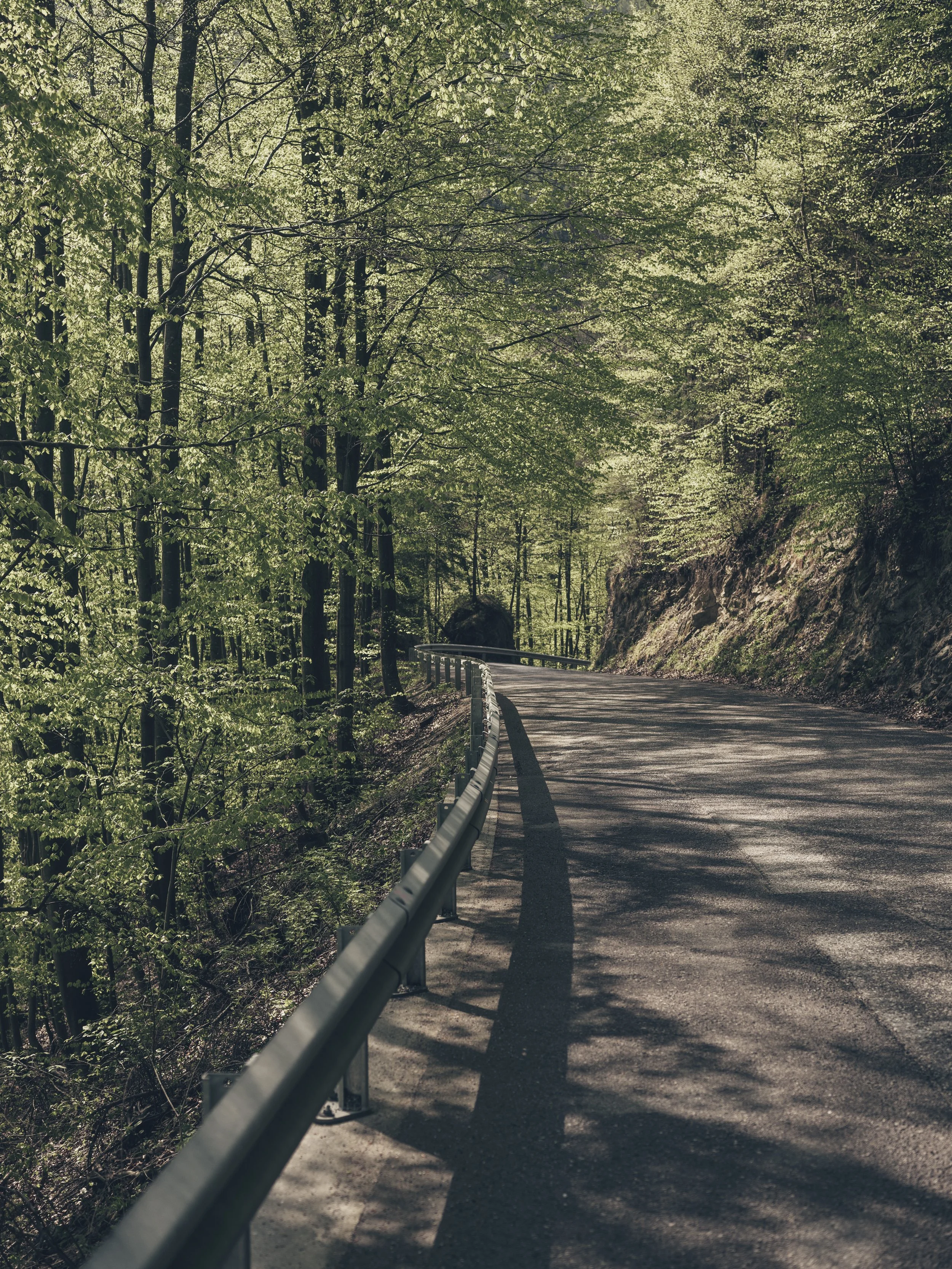 Shuttle-Bus: Graz – RRS – Graz