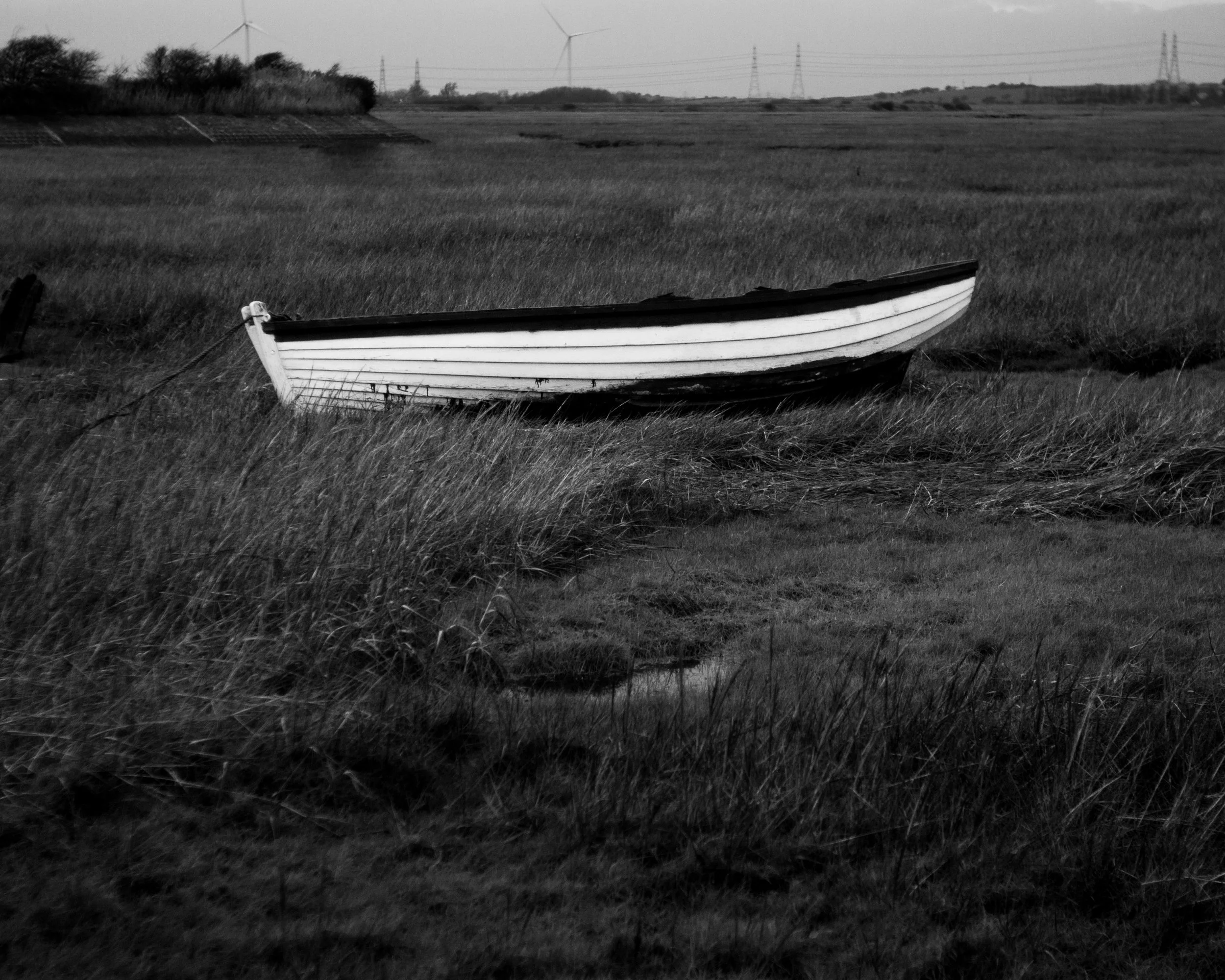 The White Boat, 2019