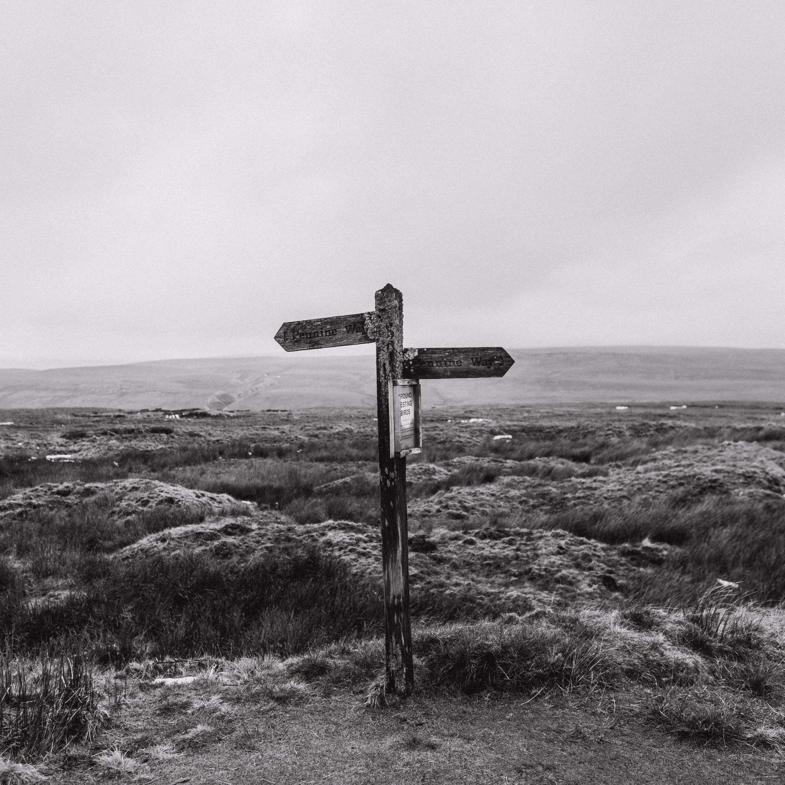 The Pennine Way, Winter SPINE 2026