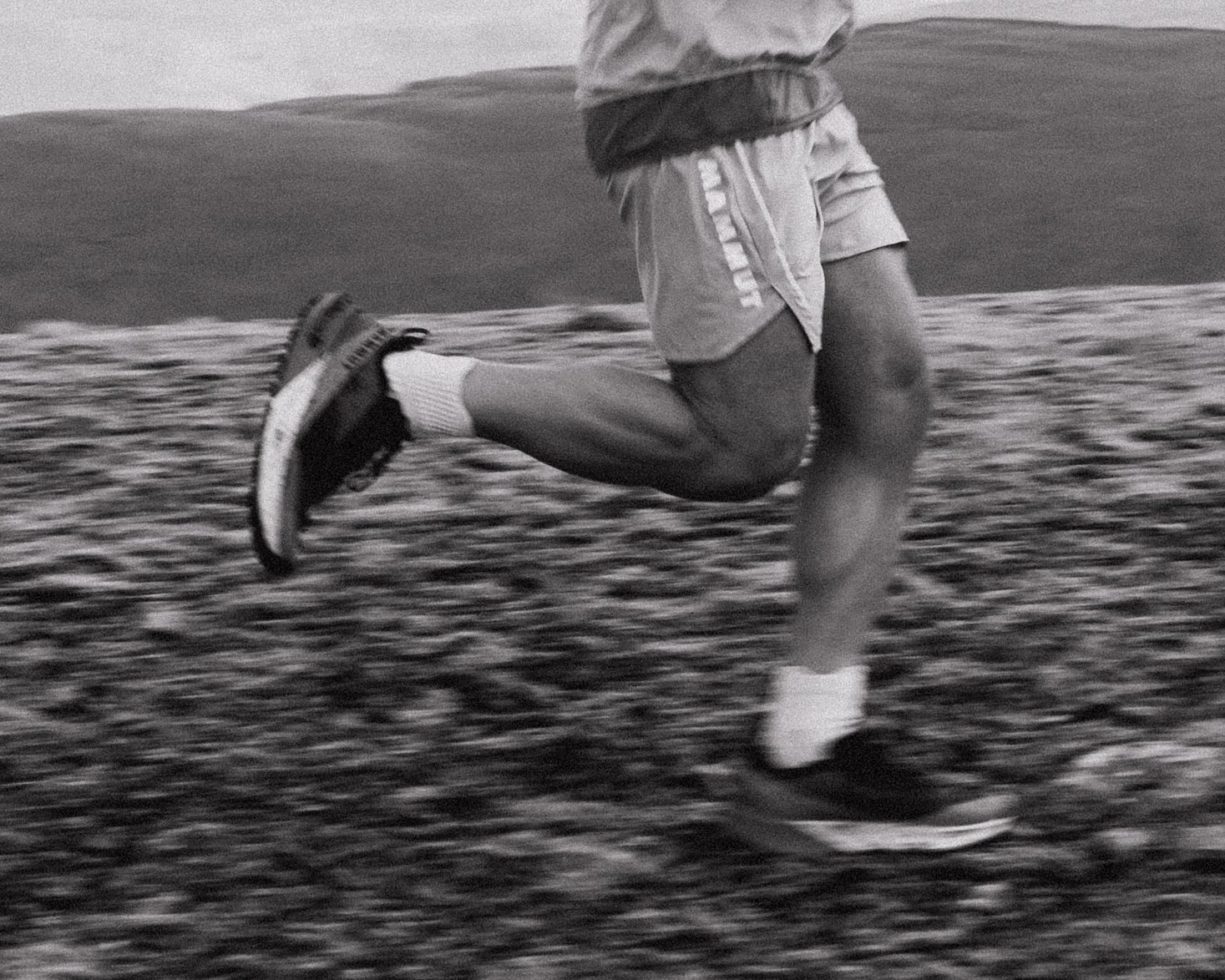 B26A4831.jpg