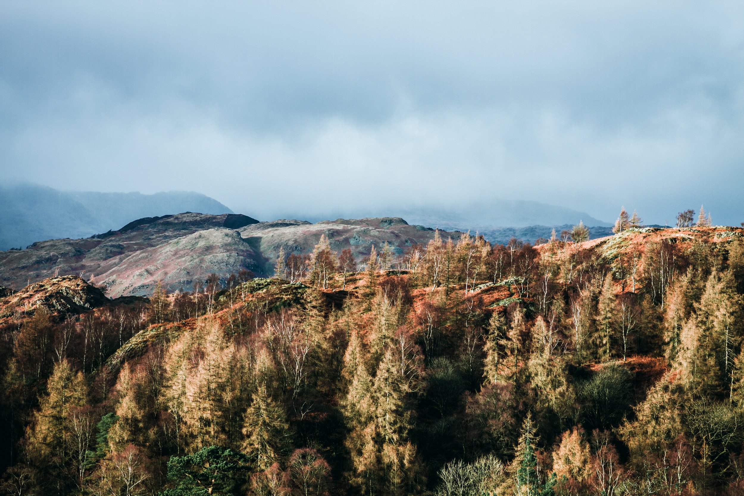 Tarn Hows in Autumn, 2017