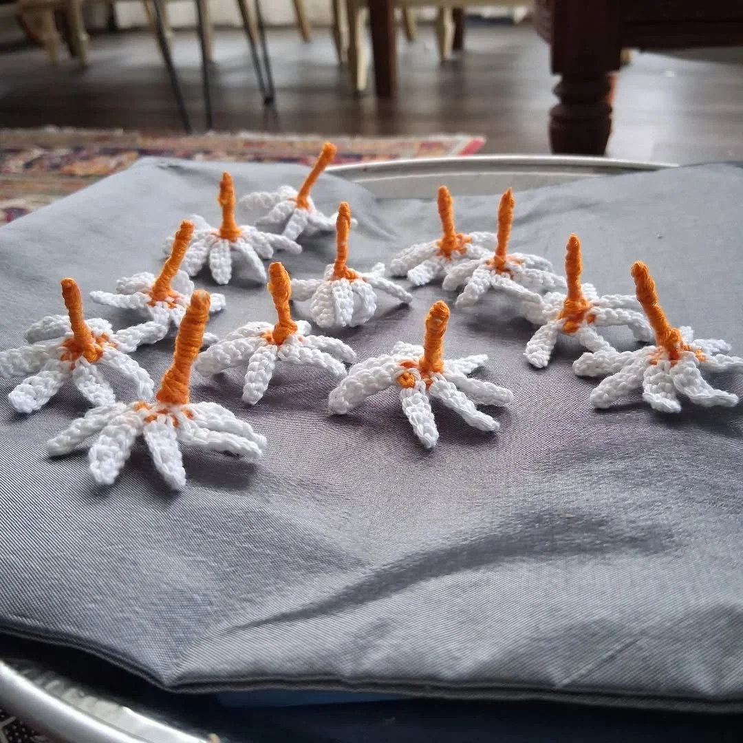 Spring is Almost Here 