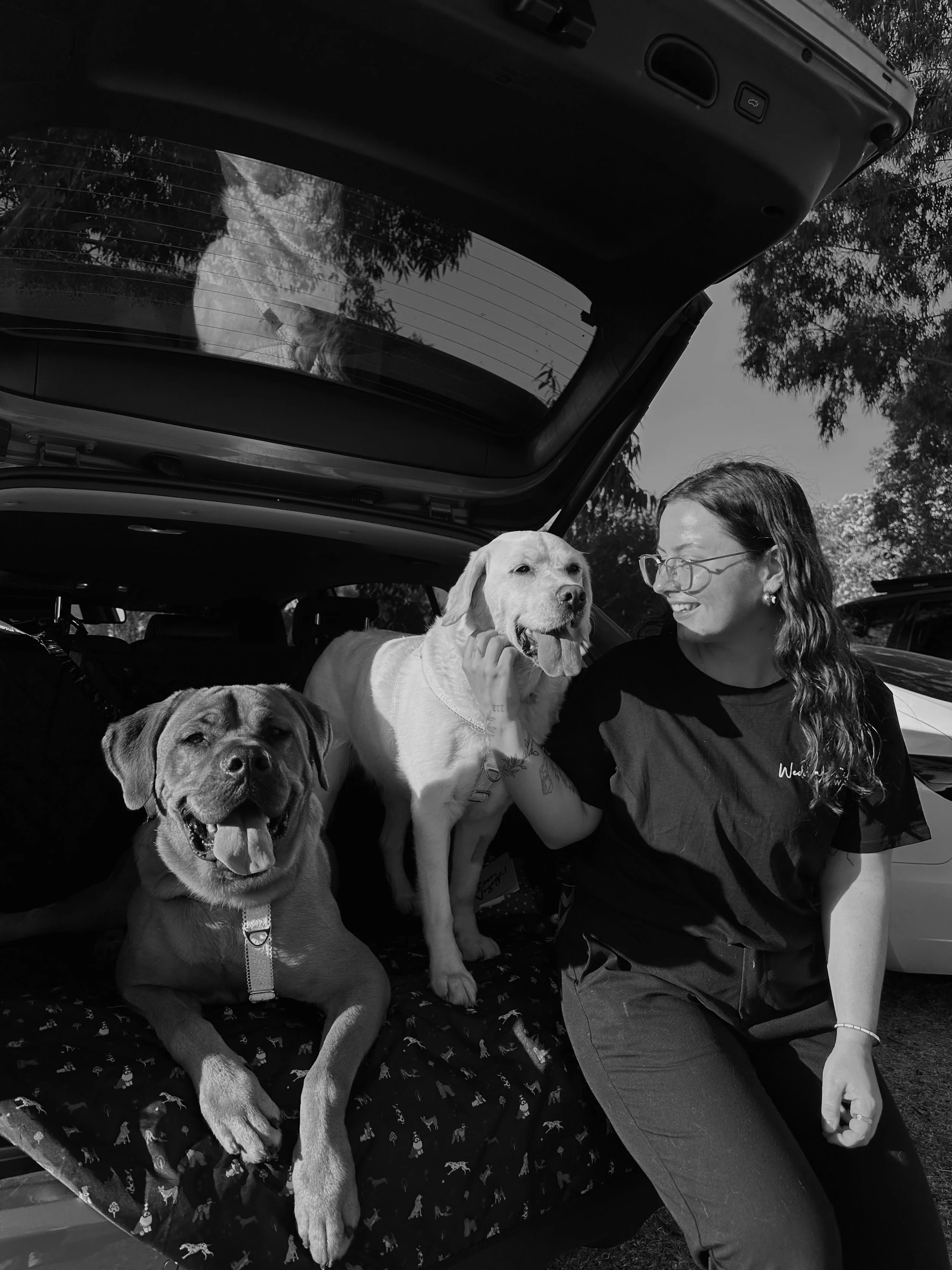 A woman with glasses sitting on the edge of an open car trunk, with two dogs, one large Labrador sitting on a blanket and another smaller dog standing on the Labrador's back, all smiling and appearing happy.