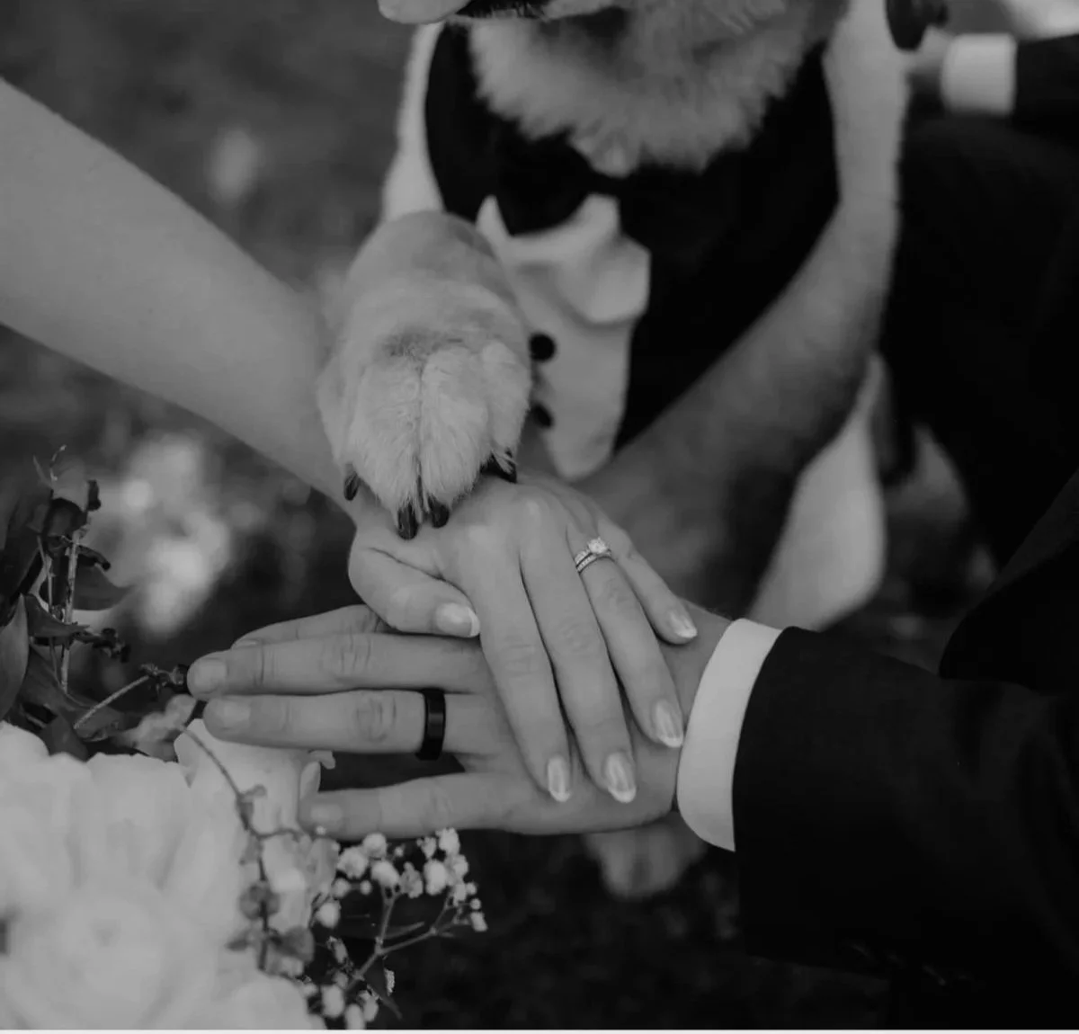 Close-up of a wedding ceremony where two people are holding hands, with a dog paw placed on top of their hands. The bride is wearing an engagement ring, and the groom is in a suit. The scene includes flowers in the foreground and a dog wearing a tuxedo in the background.