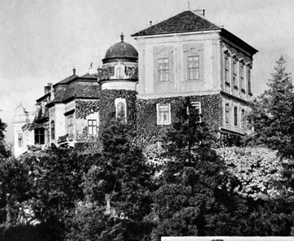 Historical black and white photograph of a large, ornate, multi-story house with a domed tower, surrounded by trees.