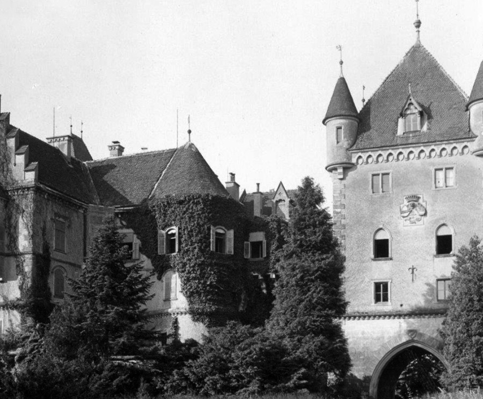 Black and white photo of a castle with towers, surrounded by trees and ivy-covered walls.