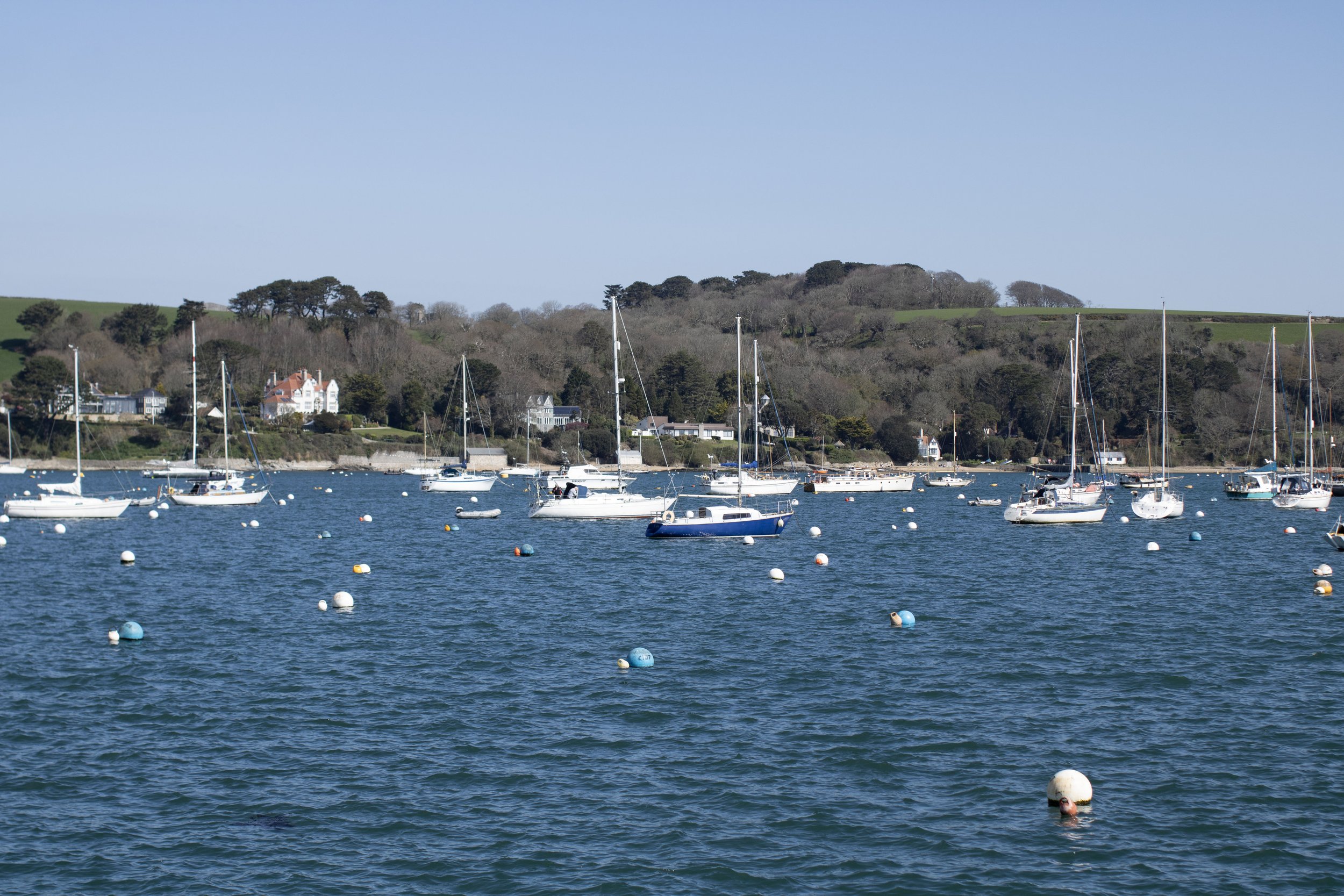IMG_7231 copy 2.jpg