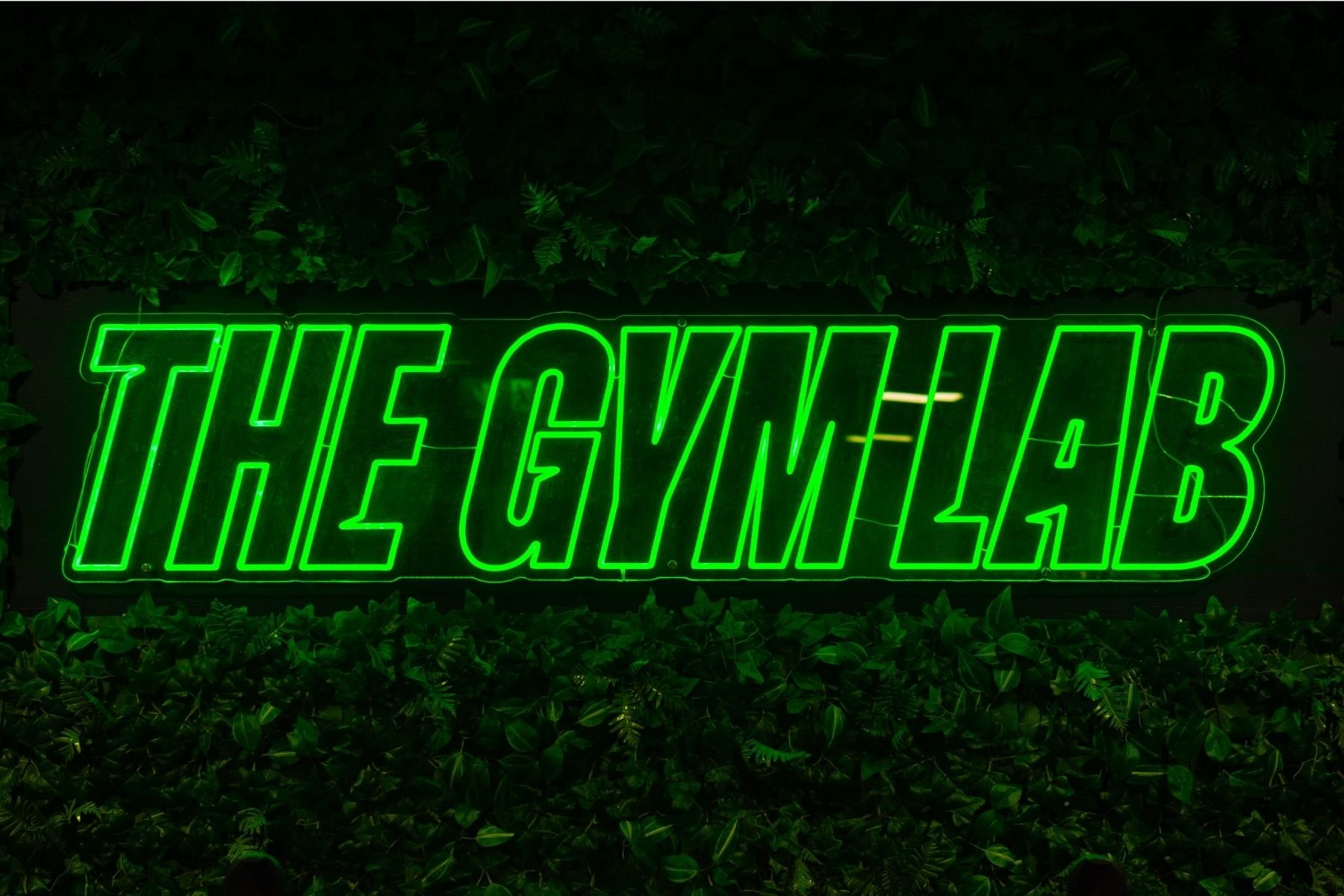 A Neon sign that reads The Gym Lab