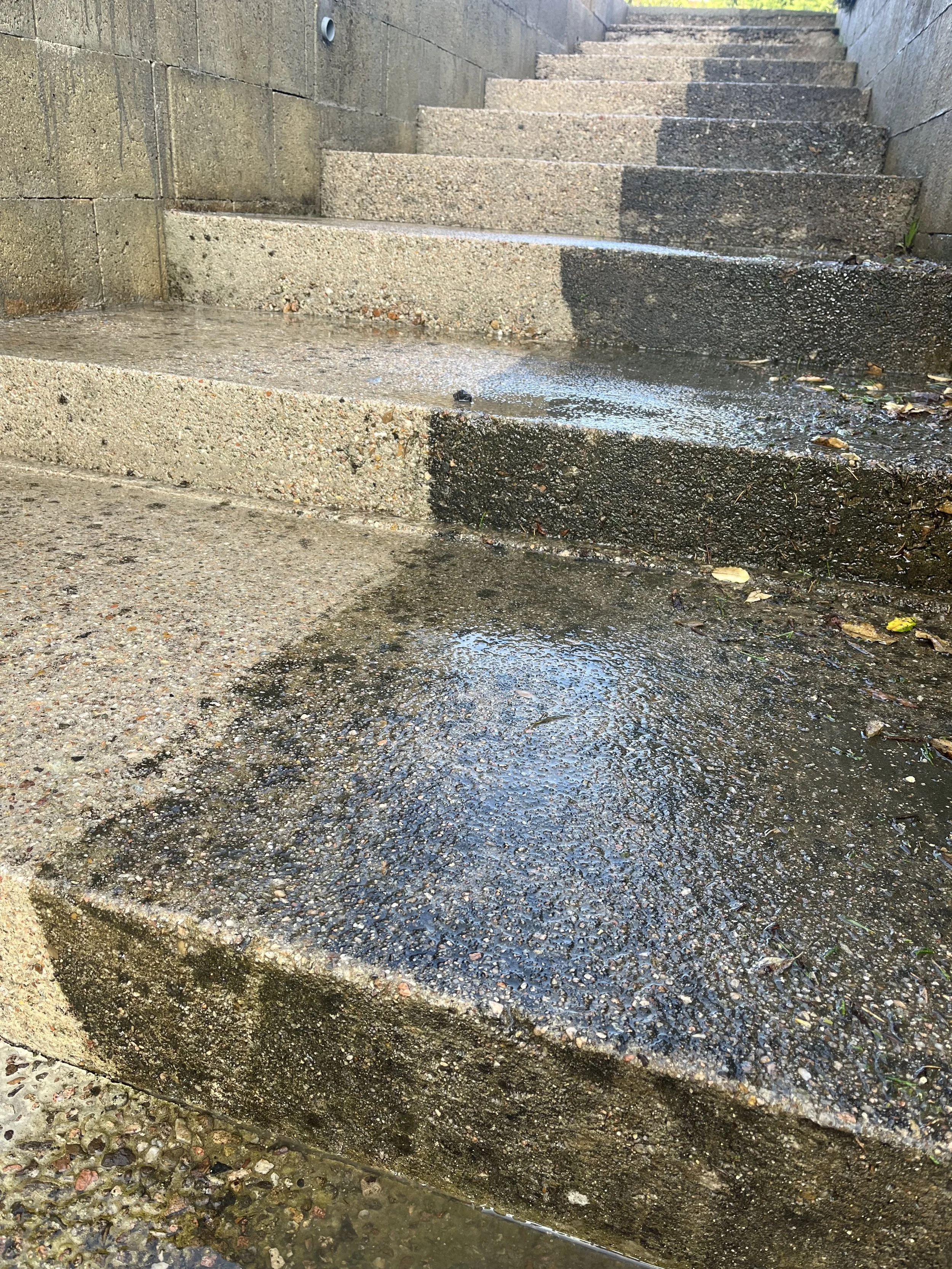 Escaliers en pierre avec de l'eau de pluie sur les marches, quelques feuilles colorées à côté.