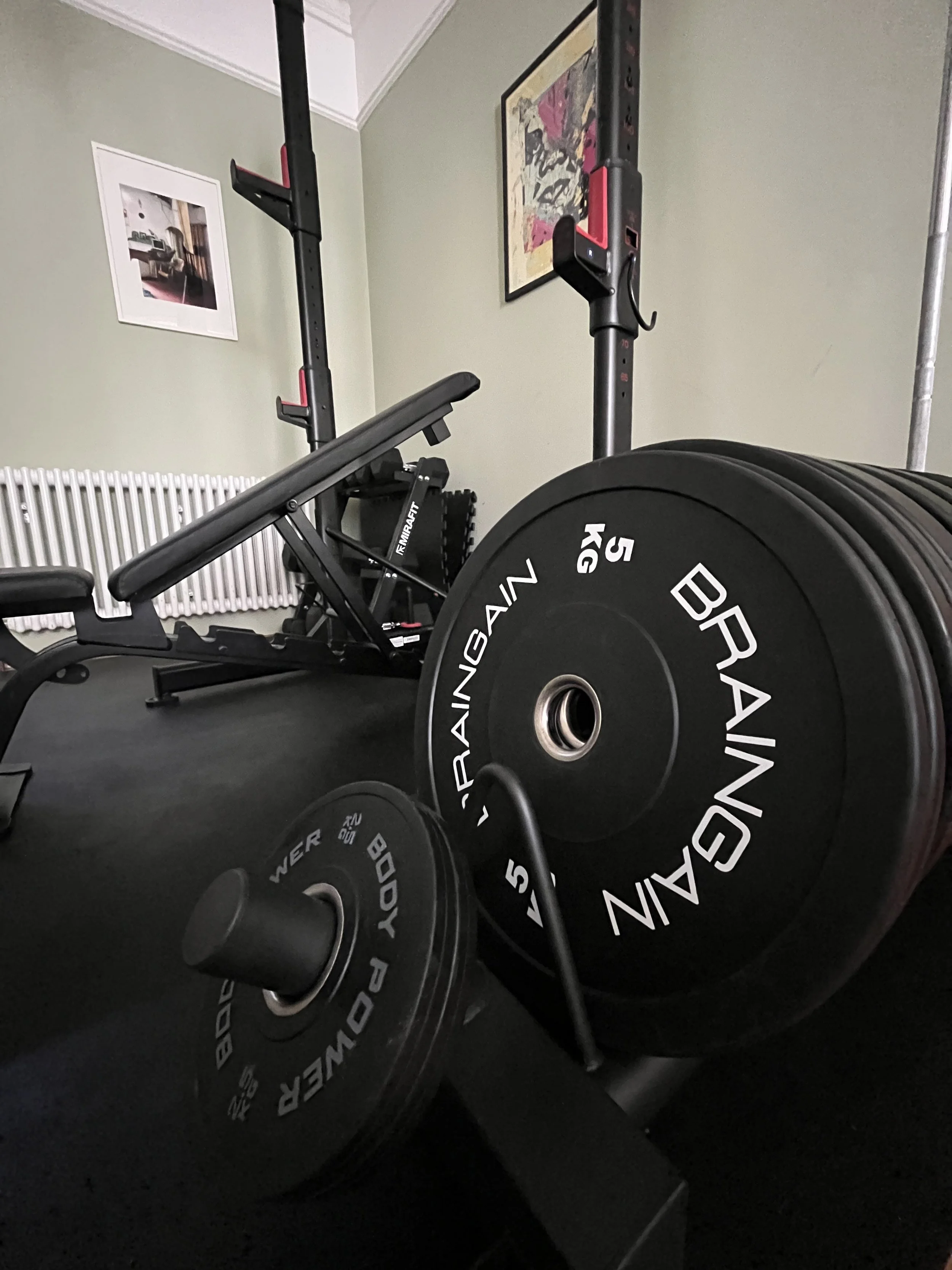 The home gym in Walthamstow where the personal training sessions can take. A home gym with a weightlifting area that includes a barbell loaded with 5 kg to 25kg weight plates, a bench, and a squat rack, with framed artwork on the light green wall.