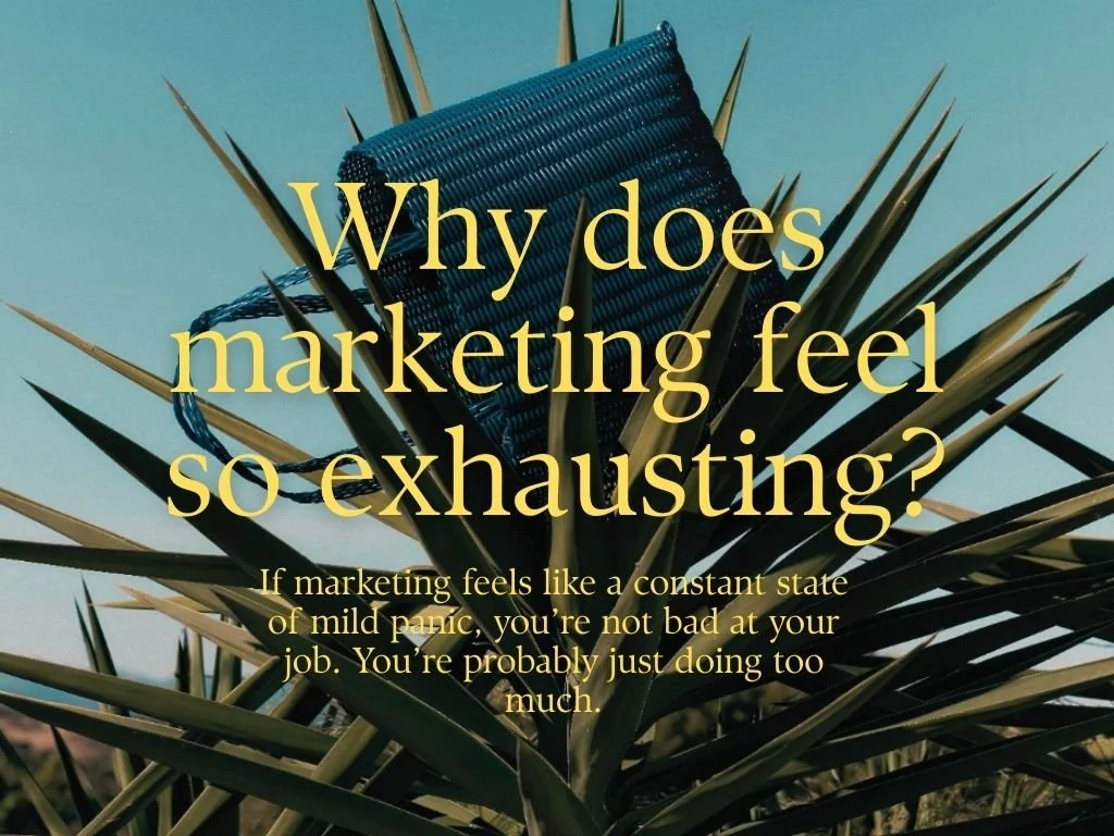 A cellphone wrapped in blue rope resting among thick, spiky leaves of a plant, with yellow text asking about marketing exhaustion and a brief explanation.