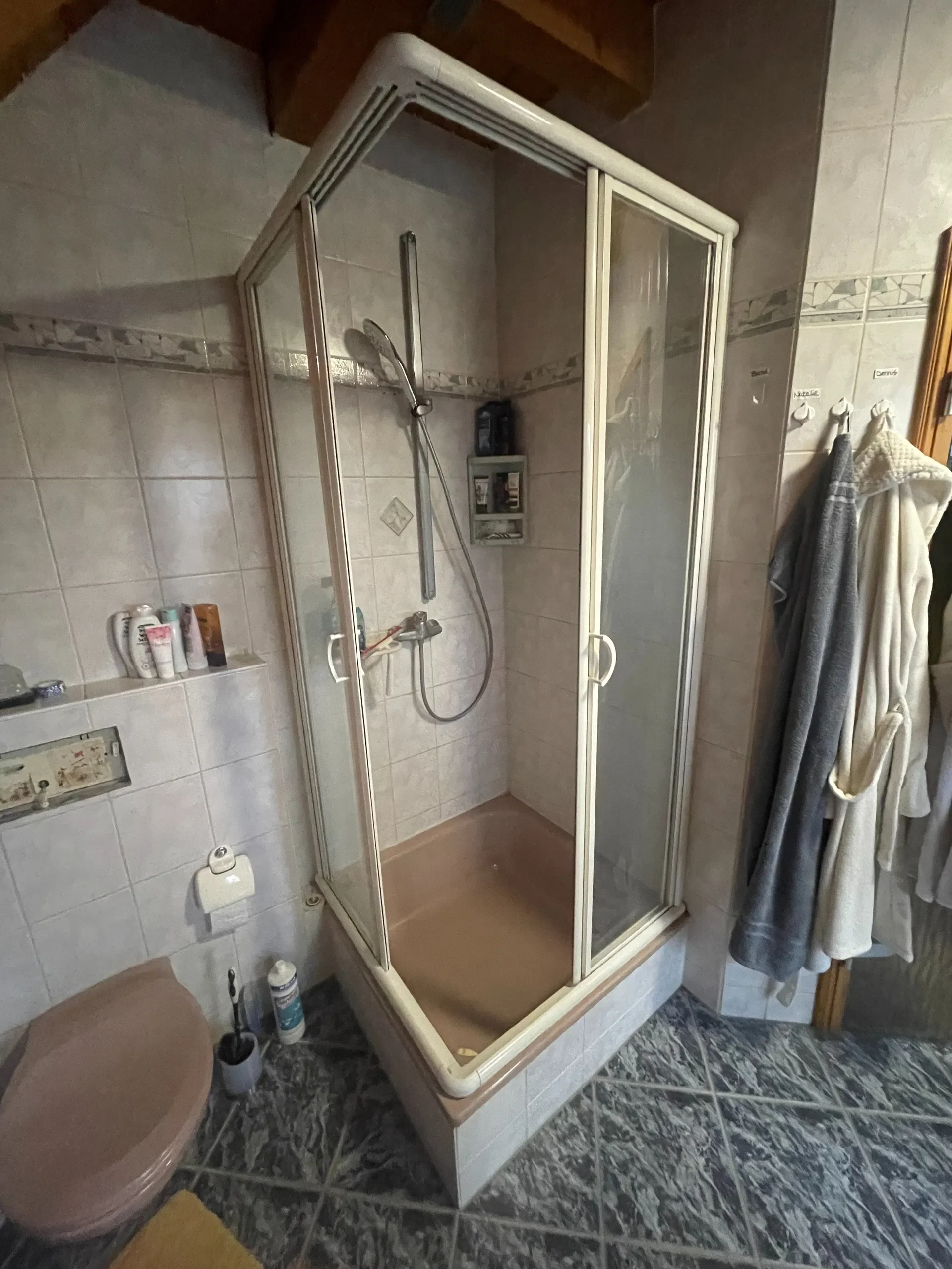 Ein Badezimmer mit einer Duschkabine, einem Toilettenstuhl, Badezimmerbedarf und Handtüchern.