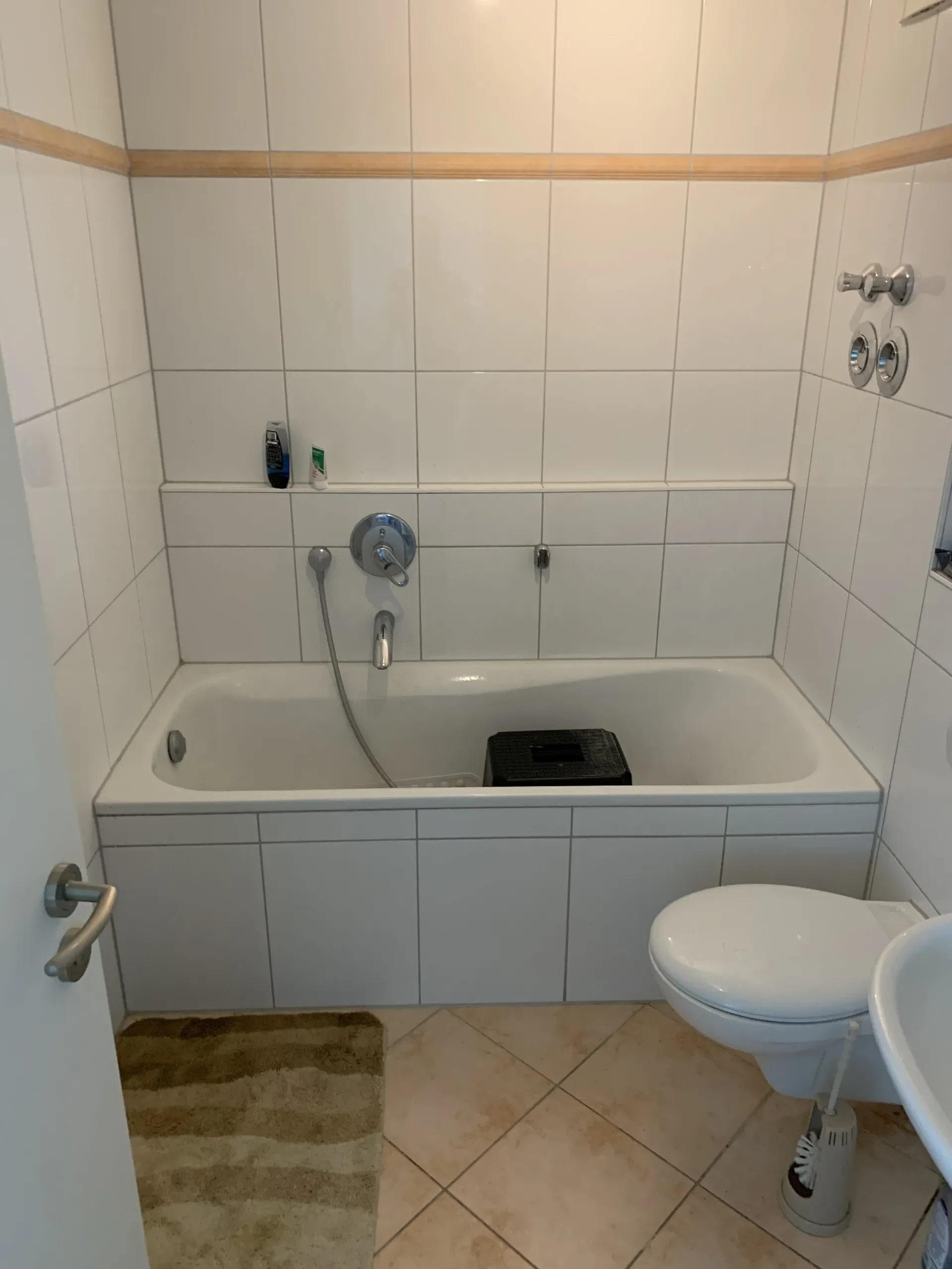 Ein Badezimmer mit weißen Fliesen, Badewanne, Toilette, und Handbrause. Es gibt Toilettenartikel auf der Wandfliese und einen braunen Teppich vor der Badewanne.