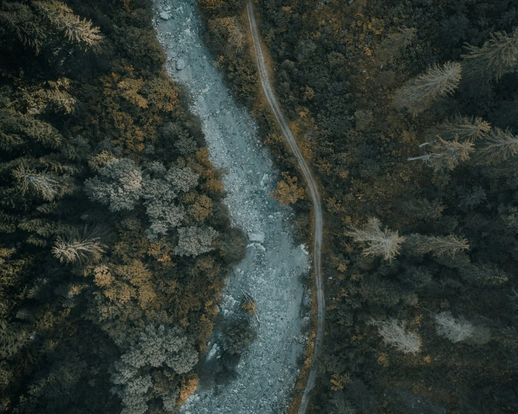 Aerial view of a spine-shaped winding river, running through a dense forest