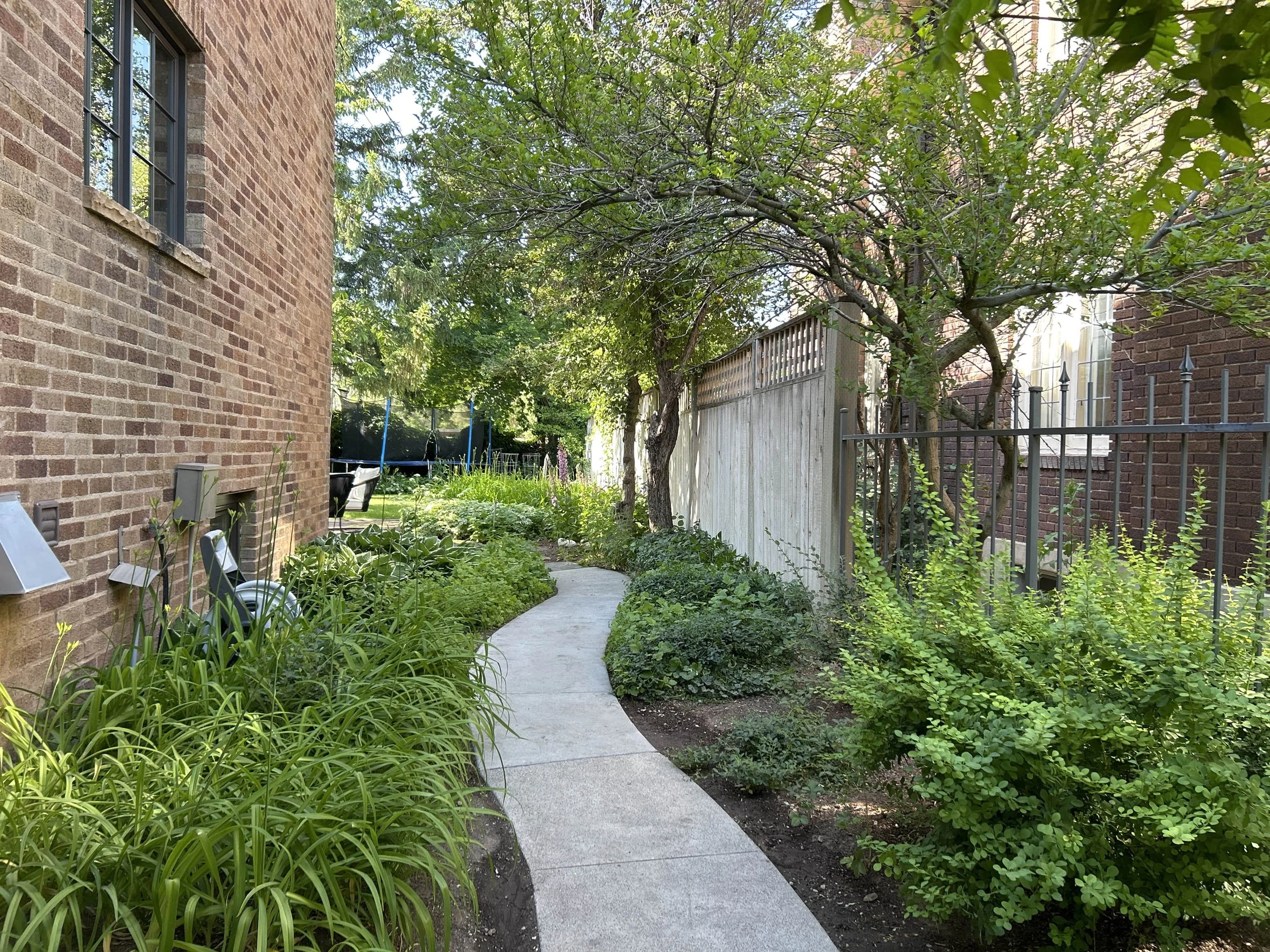A narrow concrete walkway runs through a lush garden with green plants and bushes on either side, bordered by a wooden fence on the right and brick walls on the left, with a tree overhead providing shade.
