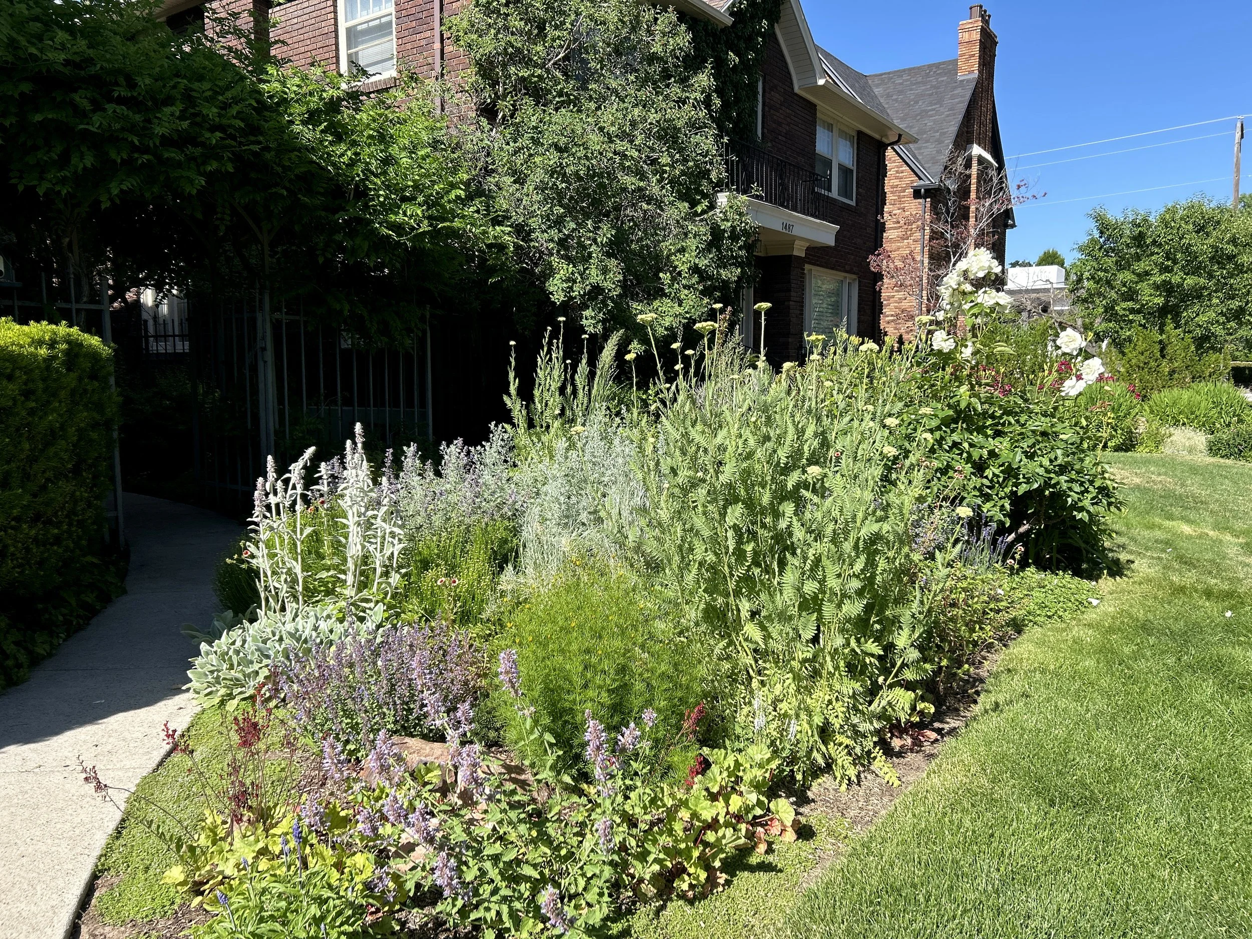 Why Native Plants Work