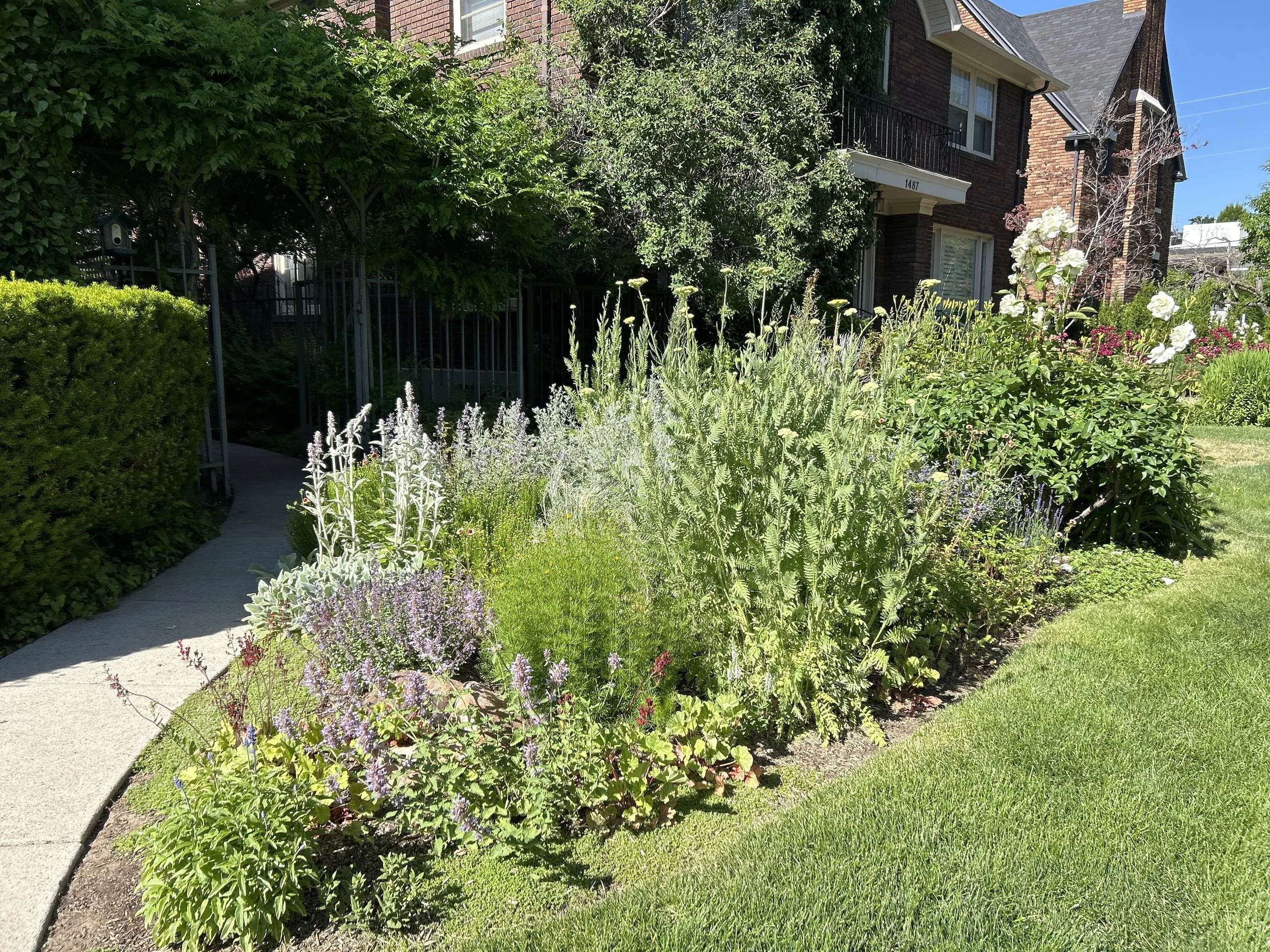 Sustainable Garden Reclamation 5.JPEG