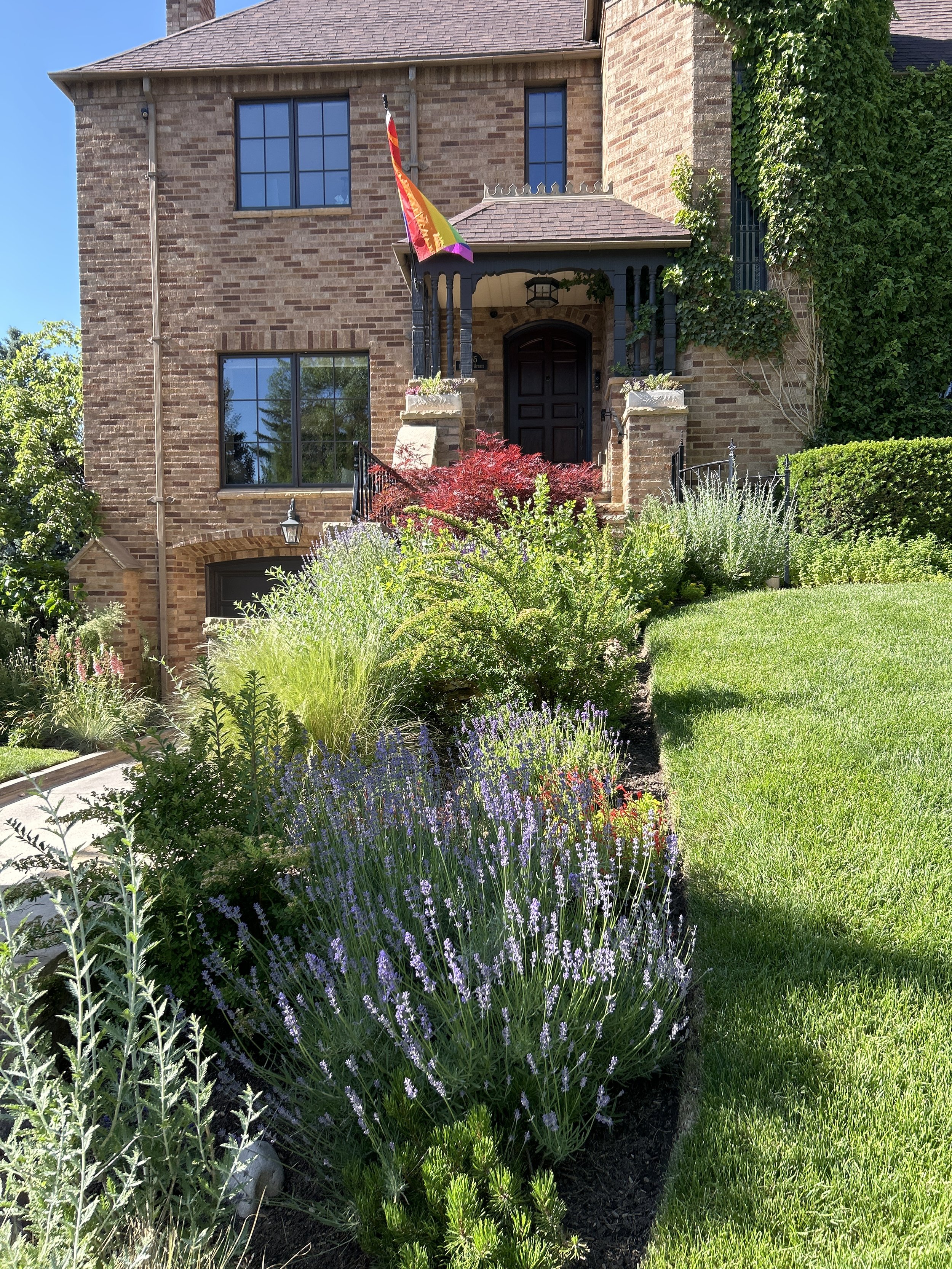 Sustainable Drought Tolerant Garden 3.JPEG