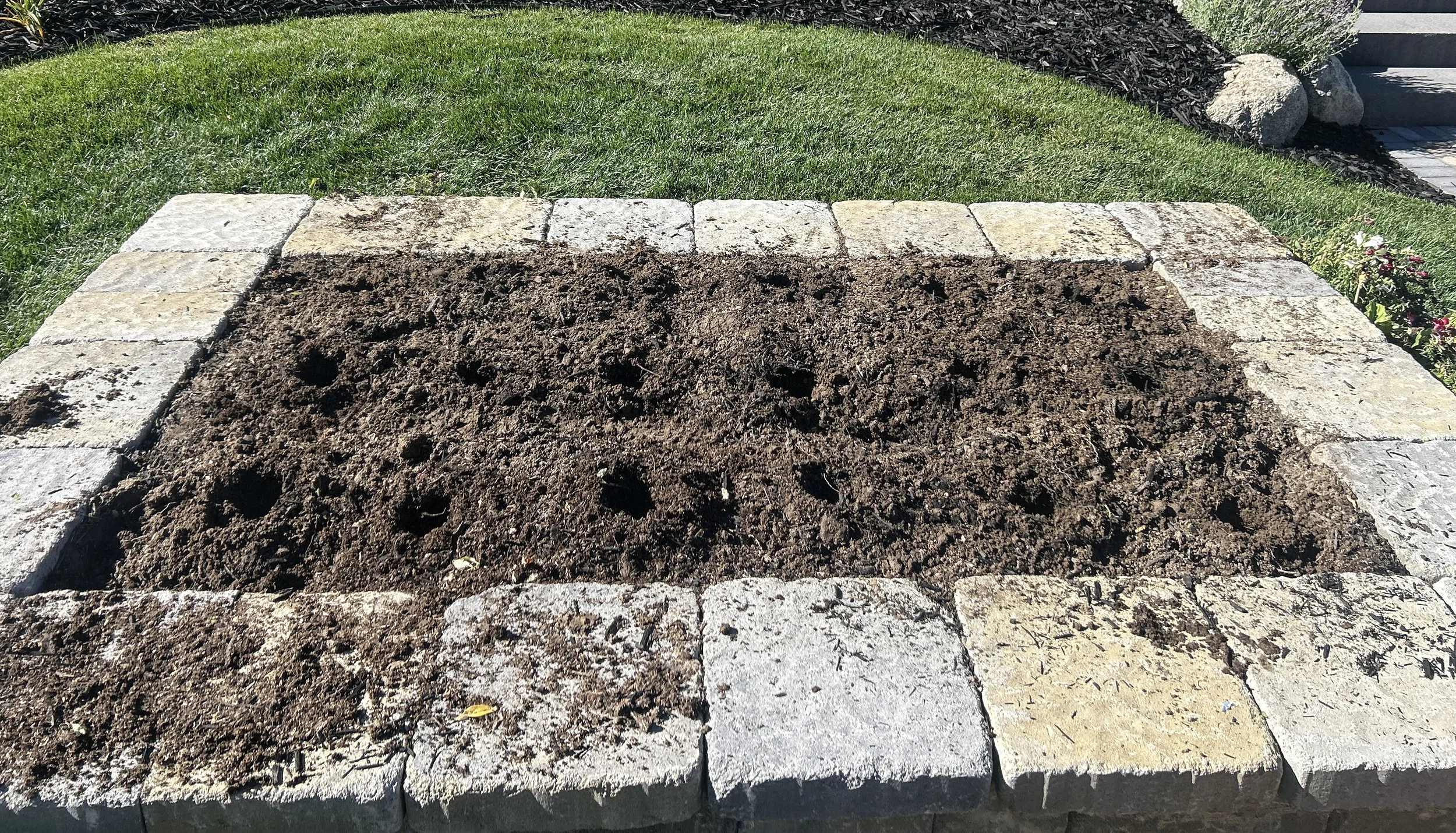 Annual Raised Bed Conversion to Native Mini Meadow 2.JPG