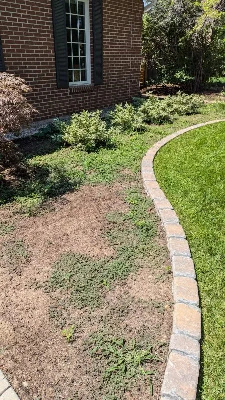 Garden cleanup_005.jpg