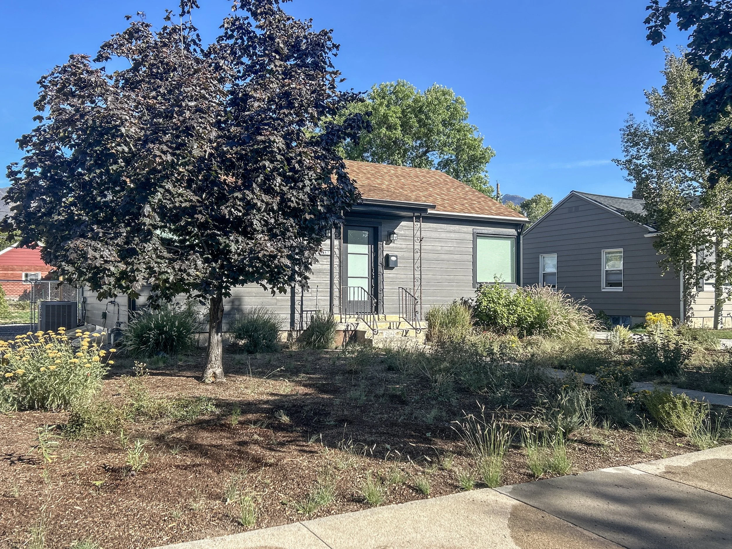 Lawn Conversion 7.JPG