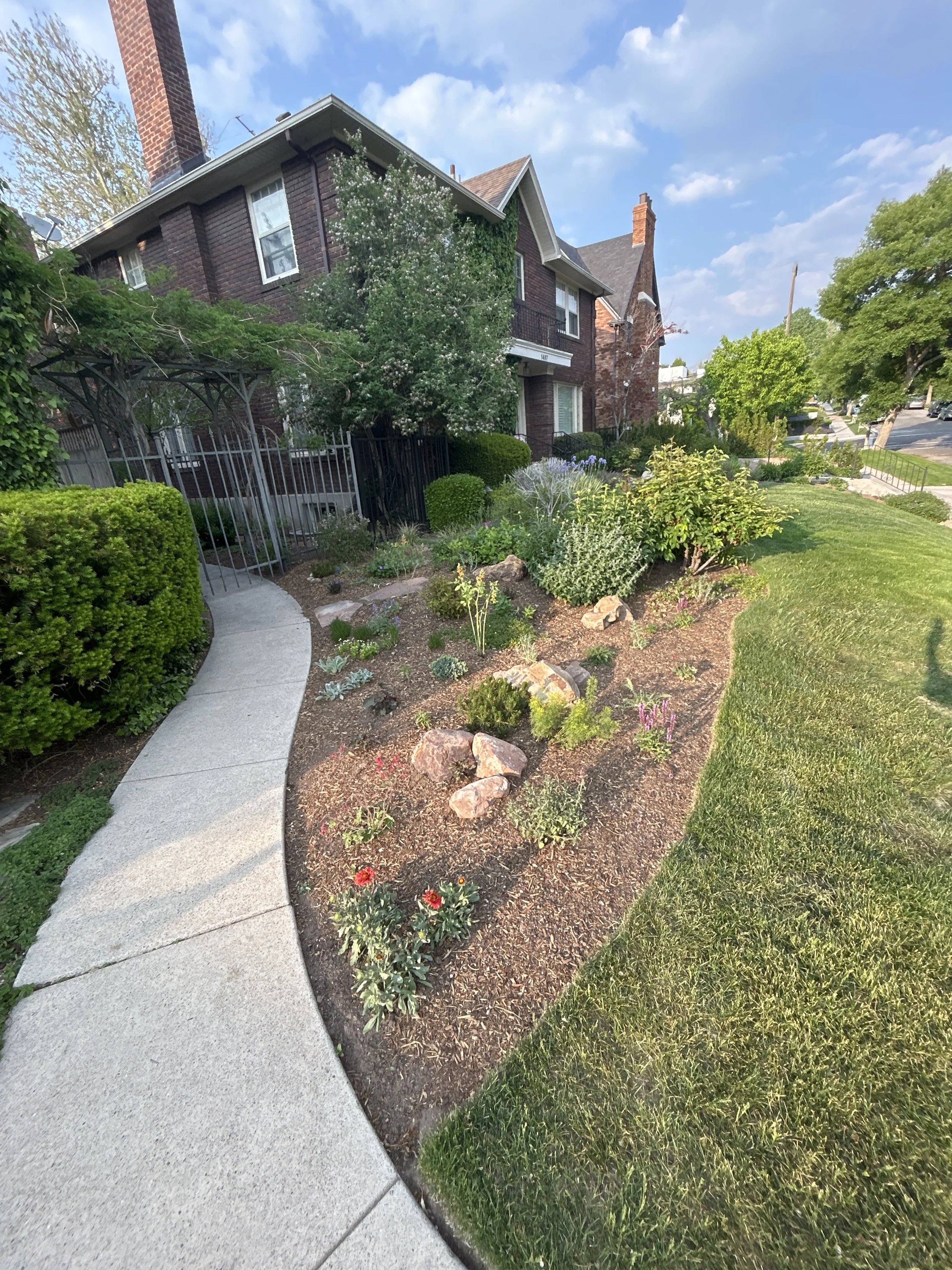 Sustainable Garden Reclamation 3.JPEG