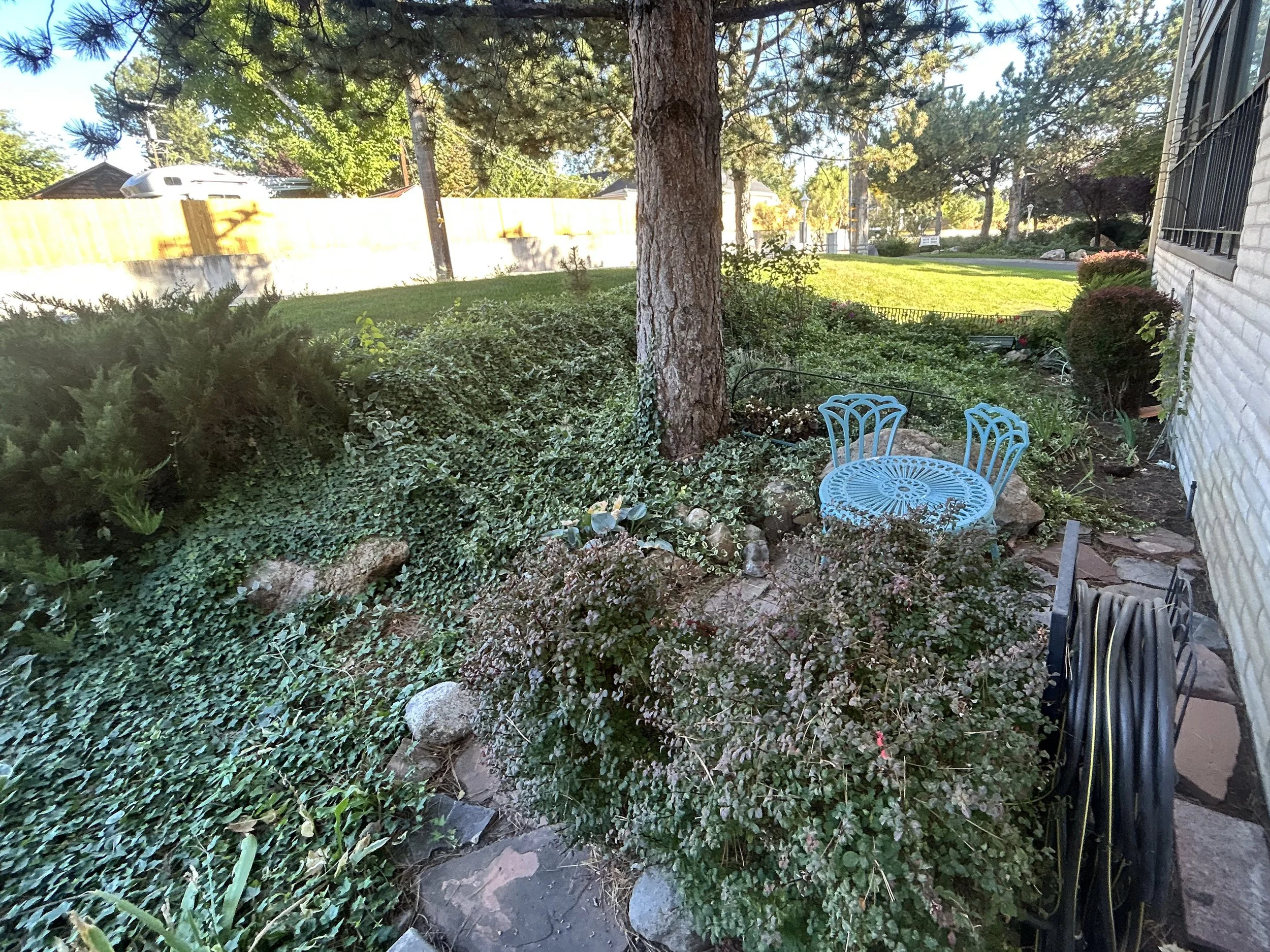 Garden cleanup_001.jpg