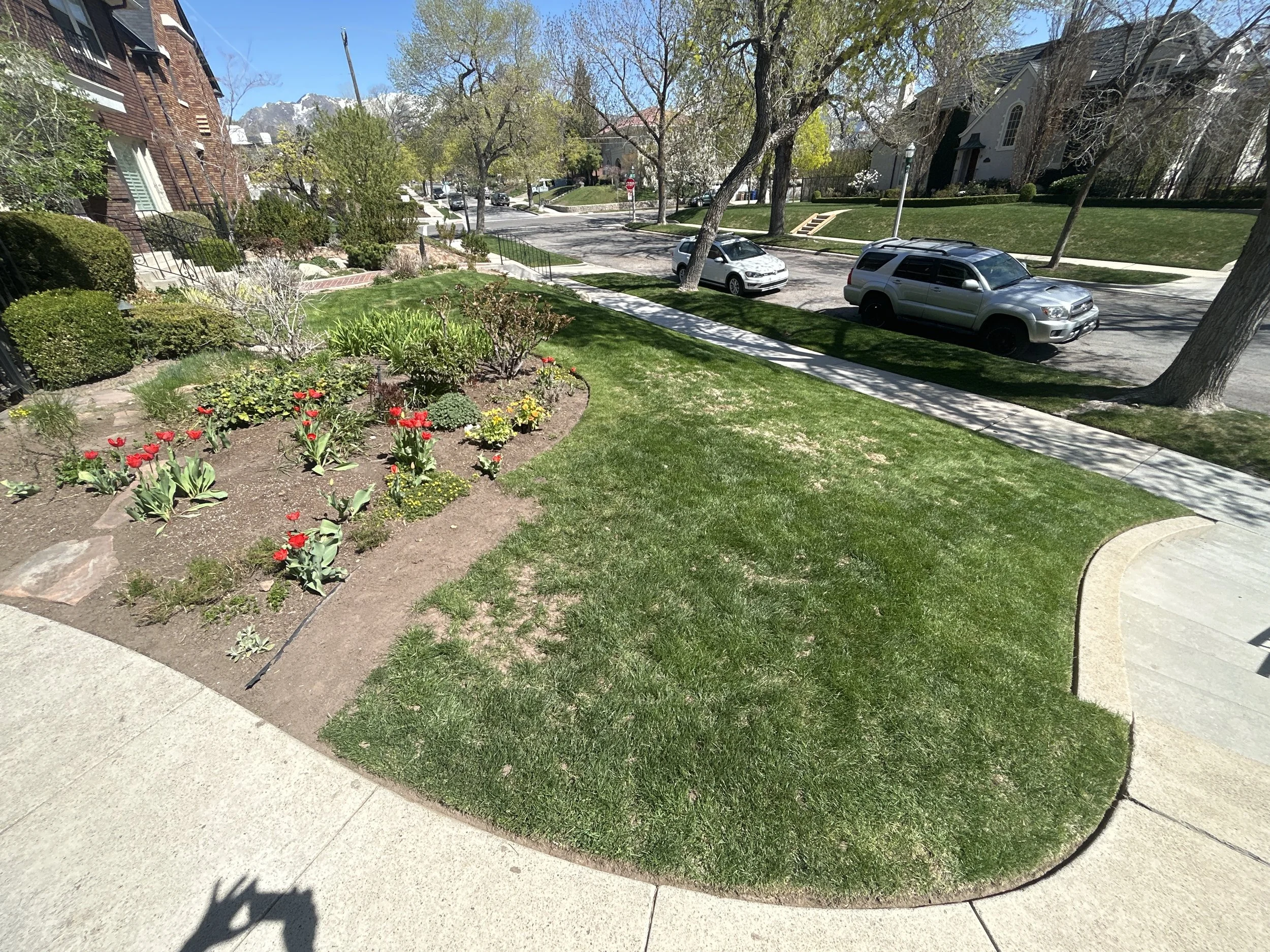 Sustainable Garden Reclamation 1.JPEG