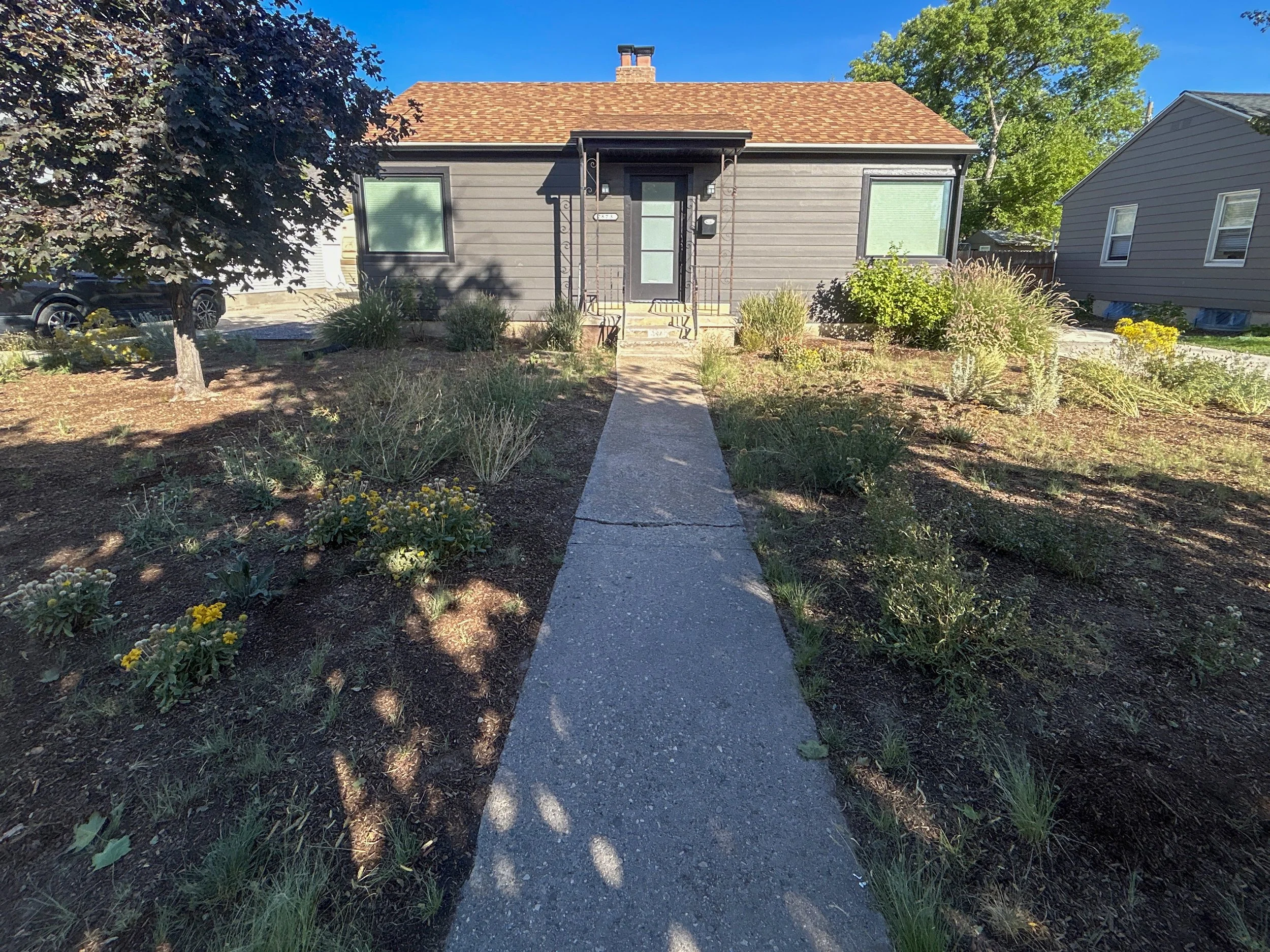 Lawn Conversion 8.JPG