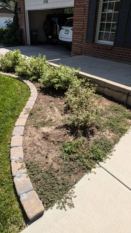 Garden cleanup_005a.jpg