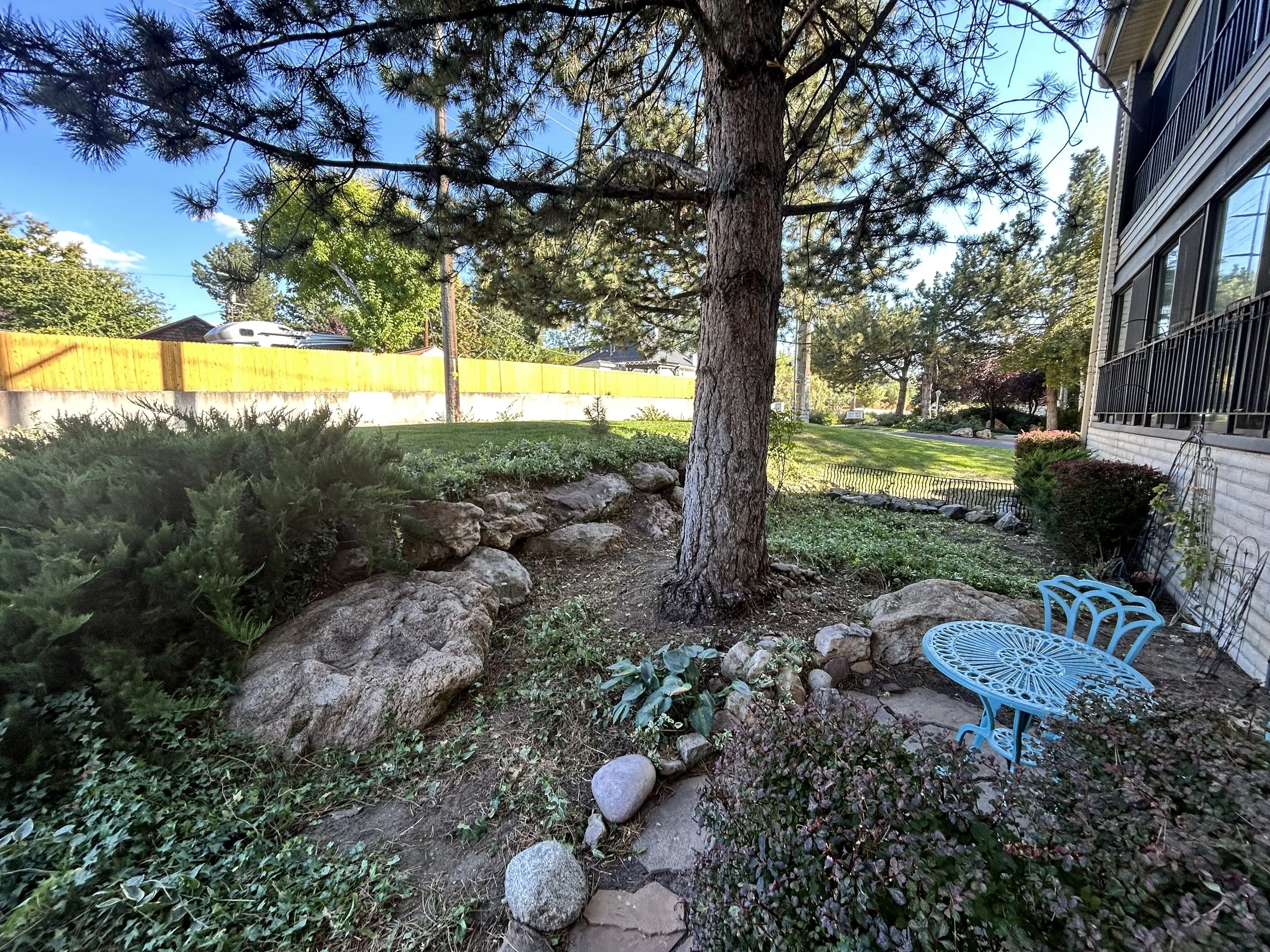Garden cleanup_002.jpg