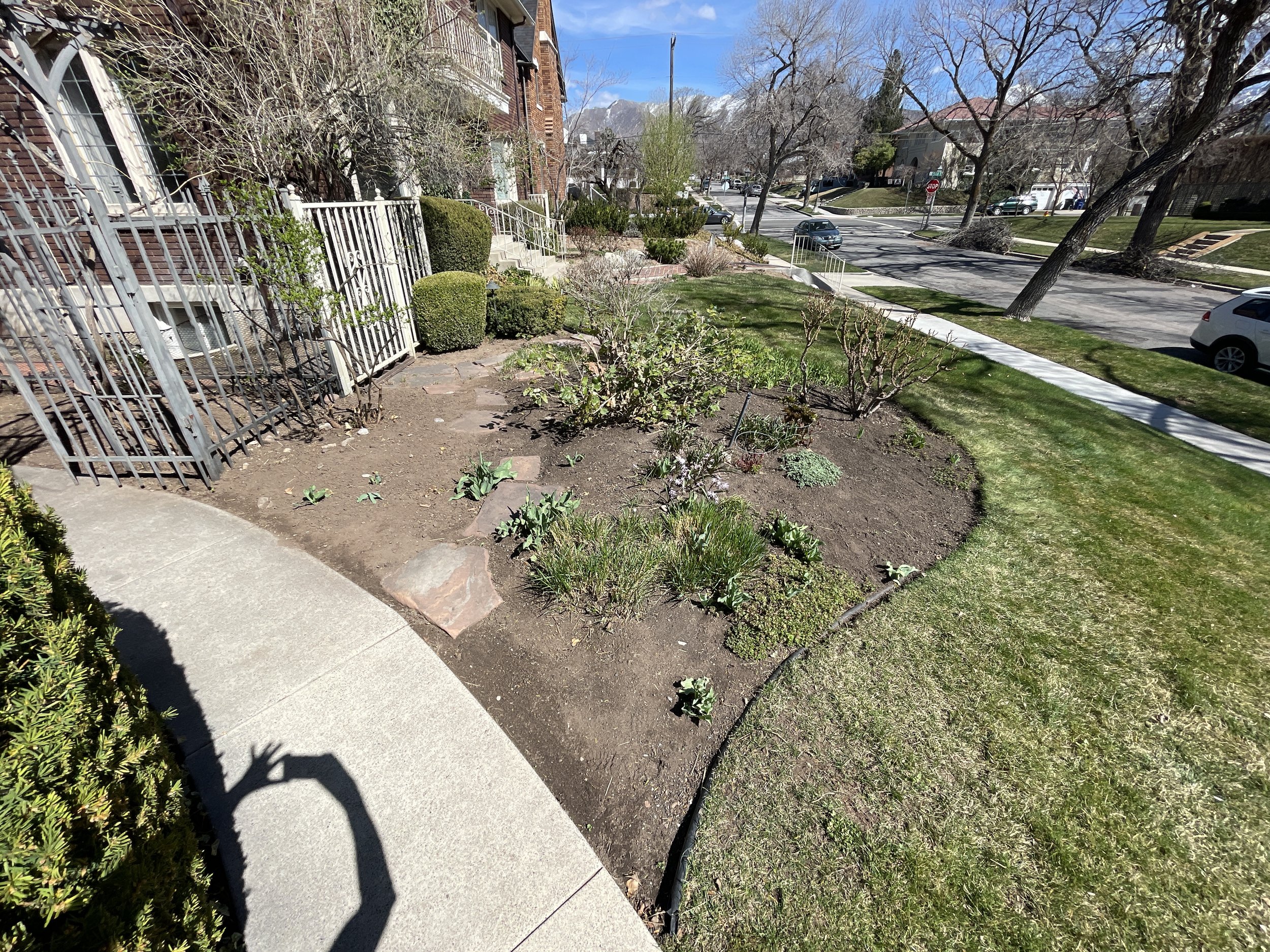 Sustainable Garden Reclamation 2.JPEG