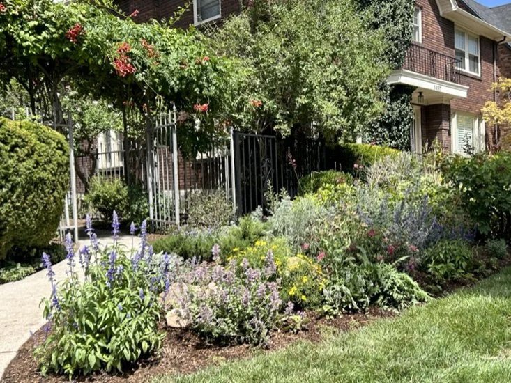 Sustainable Garden Reclamation 4.JPEG