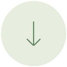 Green downward arrow inside a light-colored circle