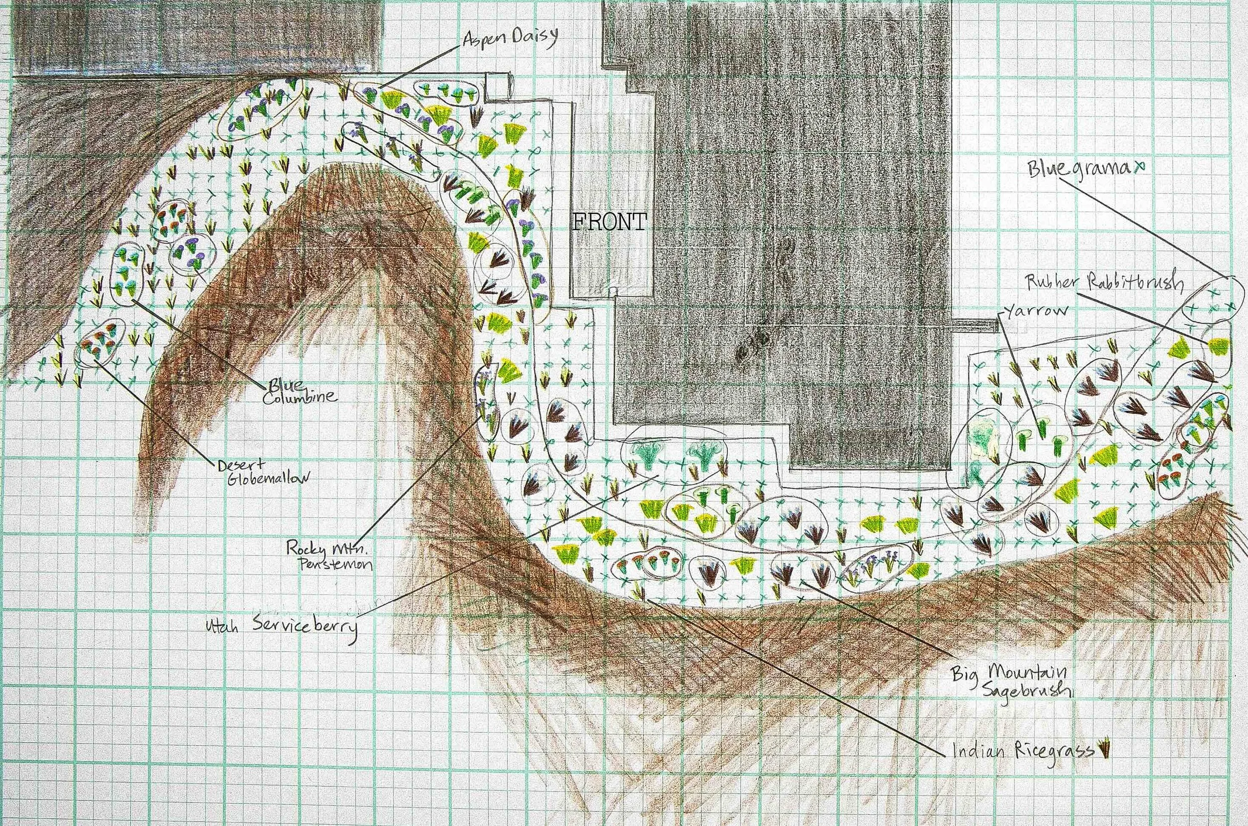 A hand-drawn garden plan on graph paper with various labeled sections including Aspen Daisy, Blue Grama, Desert Globemallow, Rocky Mountain Penstemon, Utah Serviceberry, Big Mountain Sagebrush, and Indian Ricegrass. The plan shows planting beds, pathways, and terrain features with colored crayon shading.