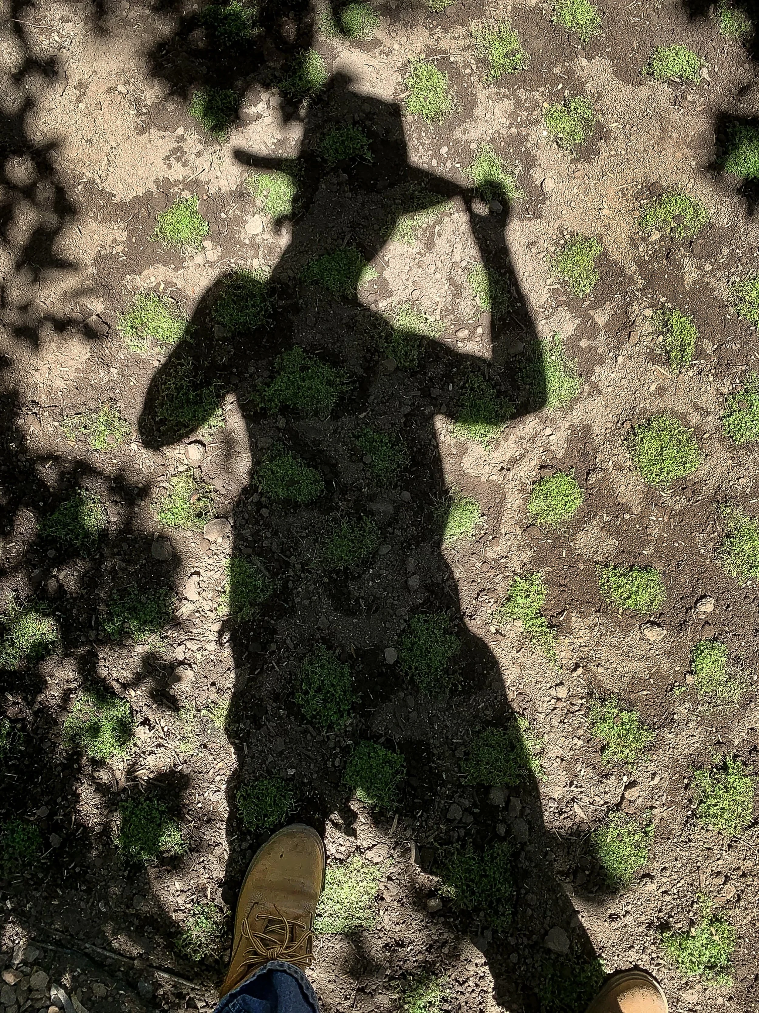 Shadow of a person holding a camera and making a peace sign, cast onto dirt ground with small green plants and a person's brown boots visible at the bottom of the frame.