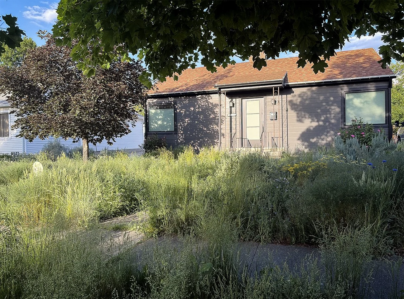 A small house with a brown exterior and red tiled roof, surrounded by lush green grass, trees, and plants, with a blue sky overhead.