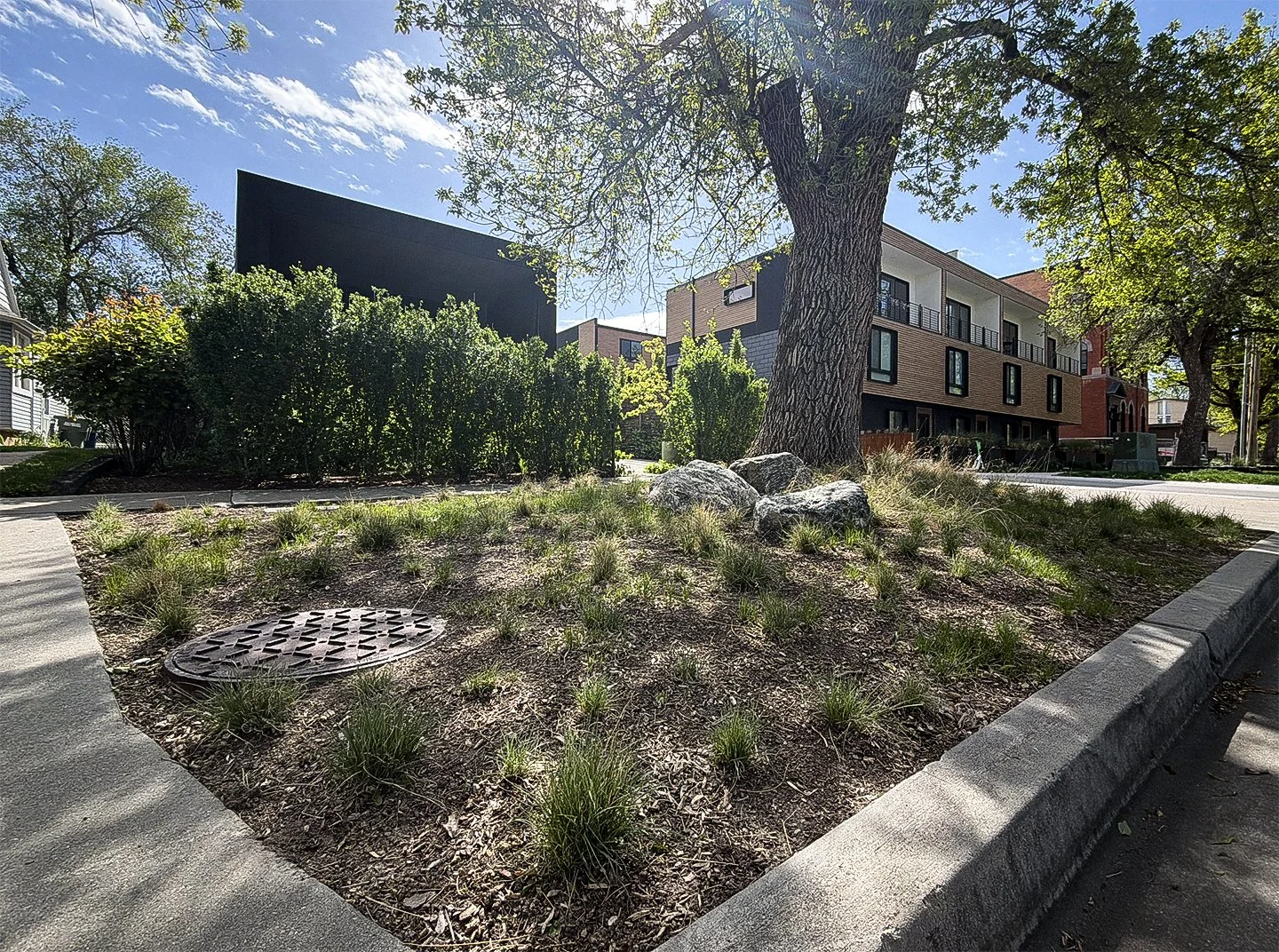 A small landscaped area with grass and rocks, surrounded by a concrete curb, with trees and residential buildings in the background on a sunny day.